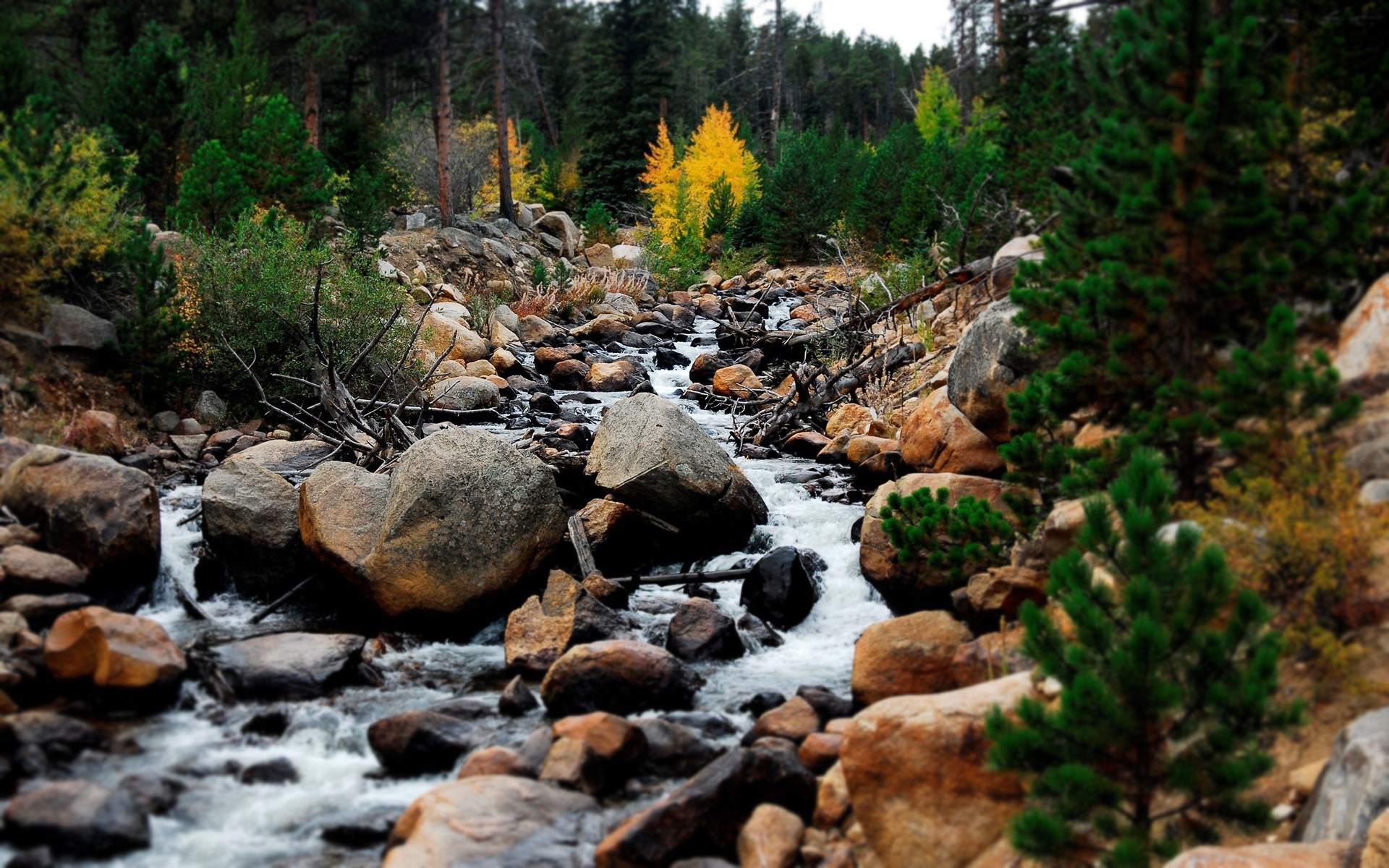 Rocky mountain stream with autumn trees HD Wallpaper