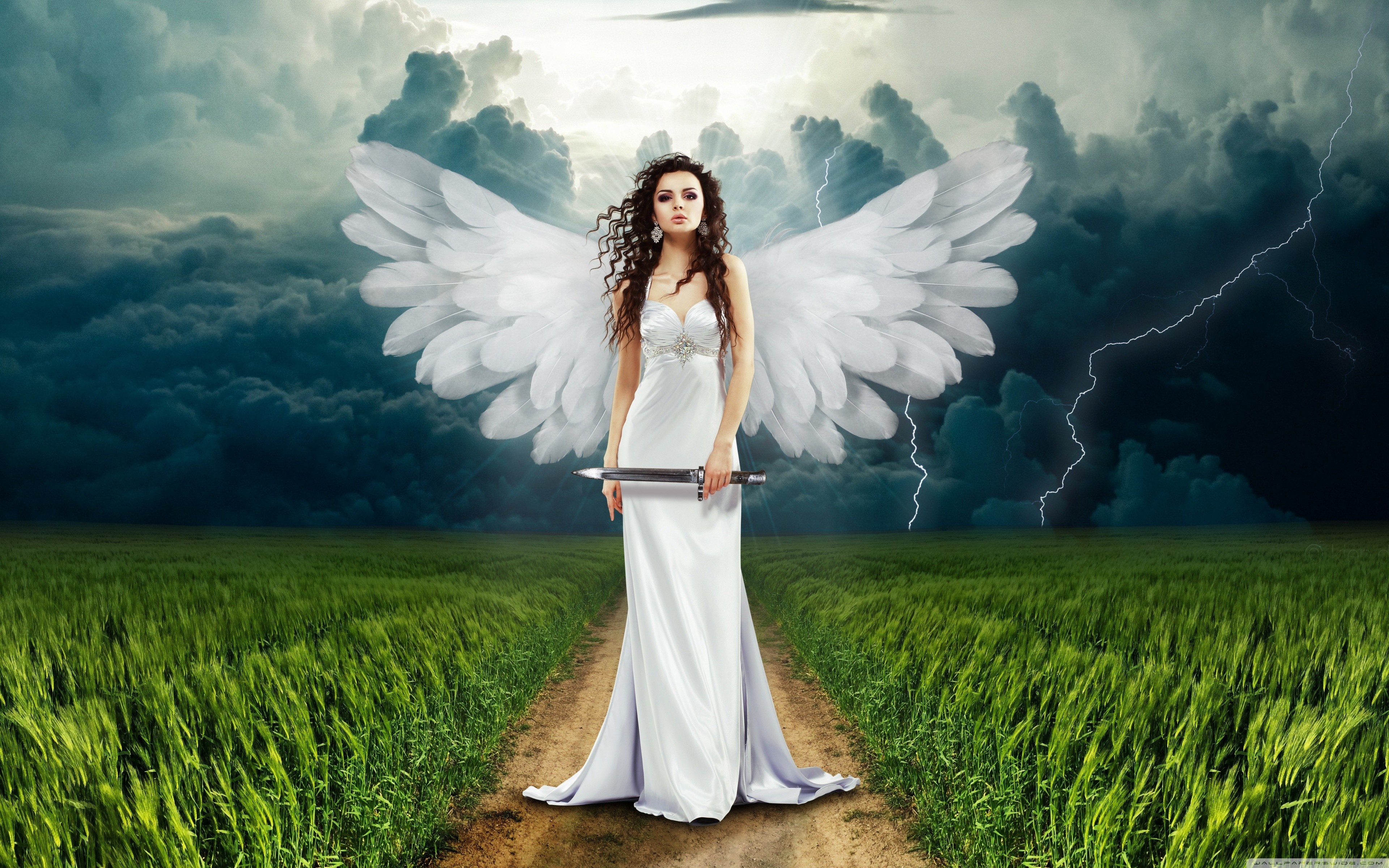 Angel with sword in a stormy field HD Wallpaper