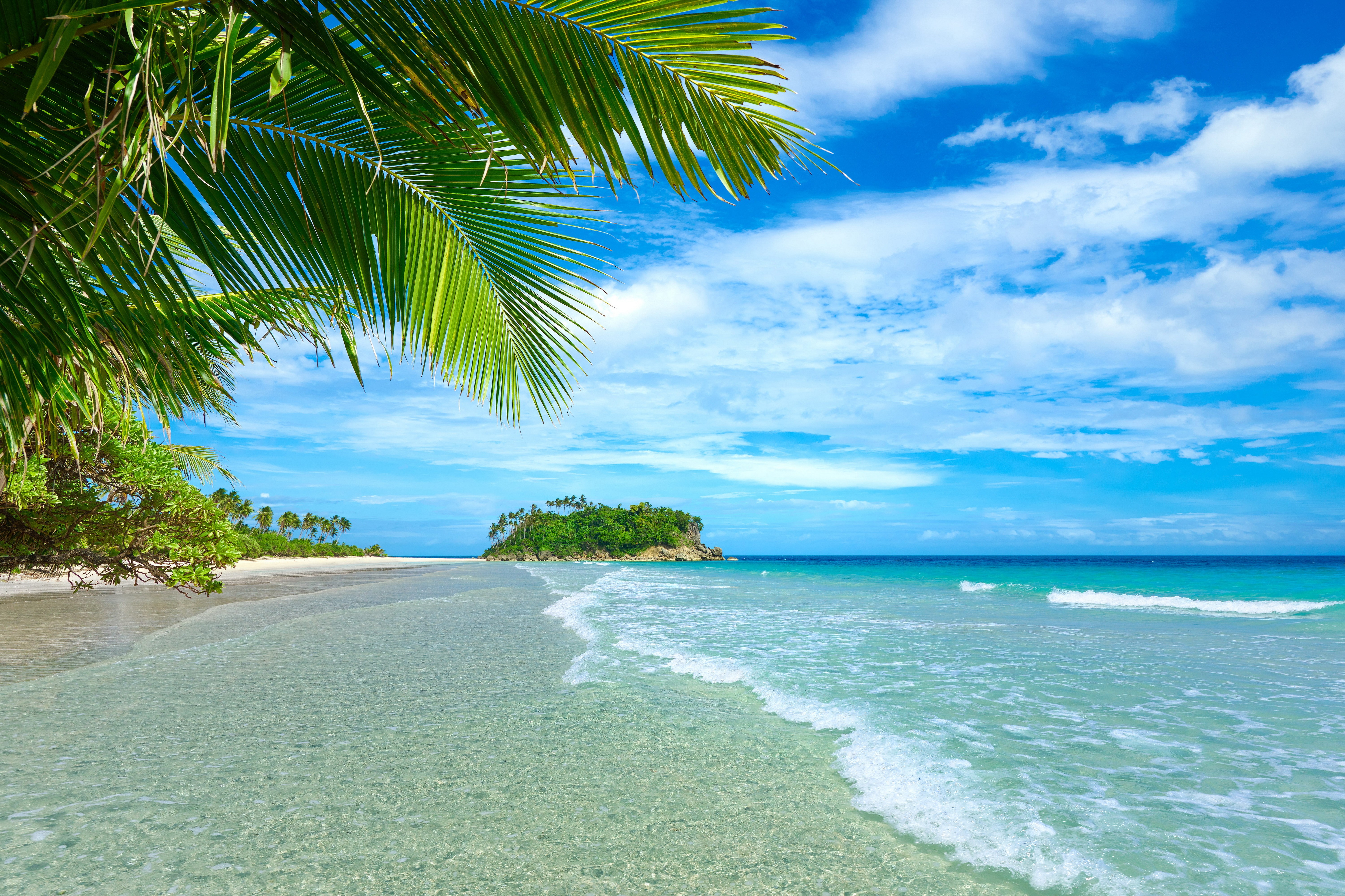 Tropical beach with palm trees and island HD Wallpaper
