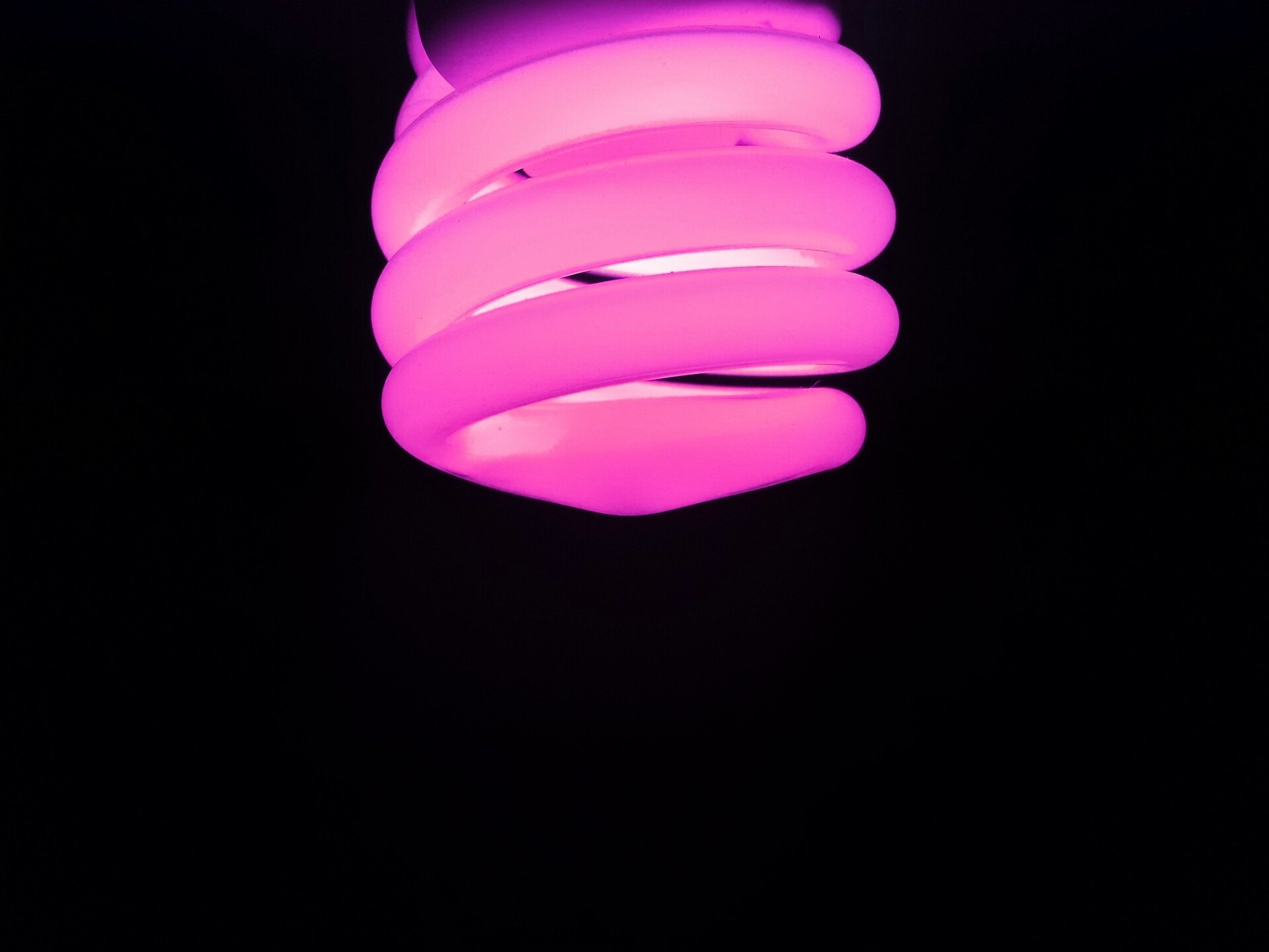 Close-up of a pink spiral fluorescent light bulb HD Wallpaper