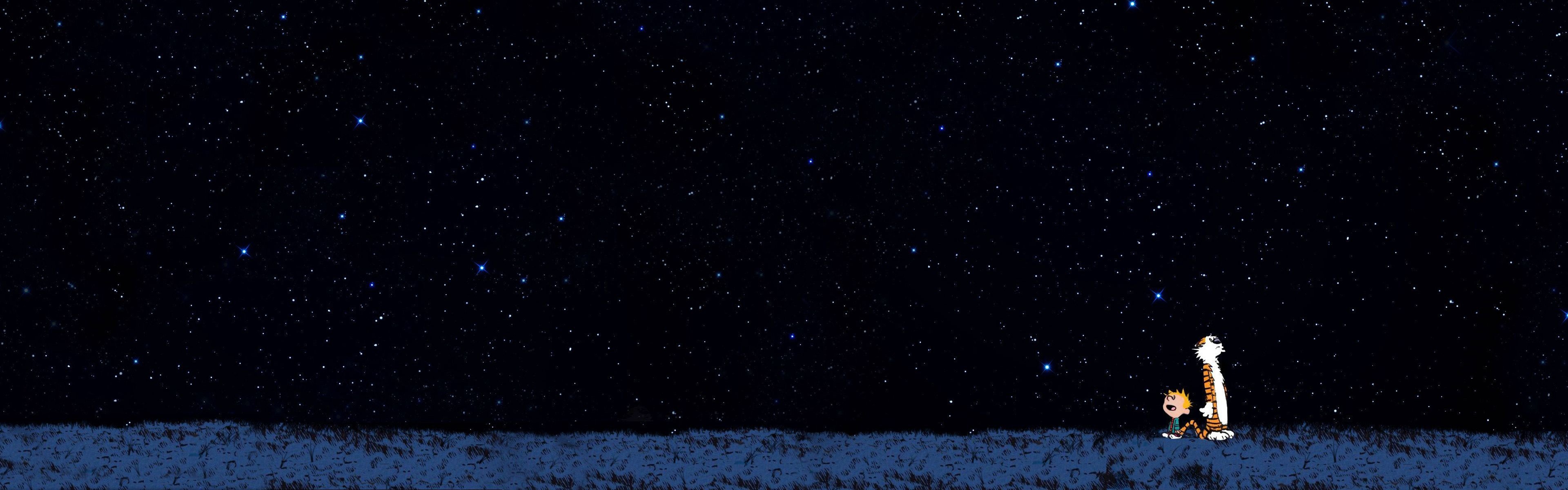 Calvin and Hobbes looking at stars HD Wallpaper