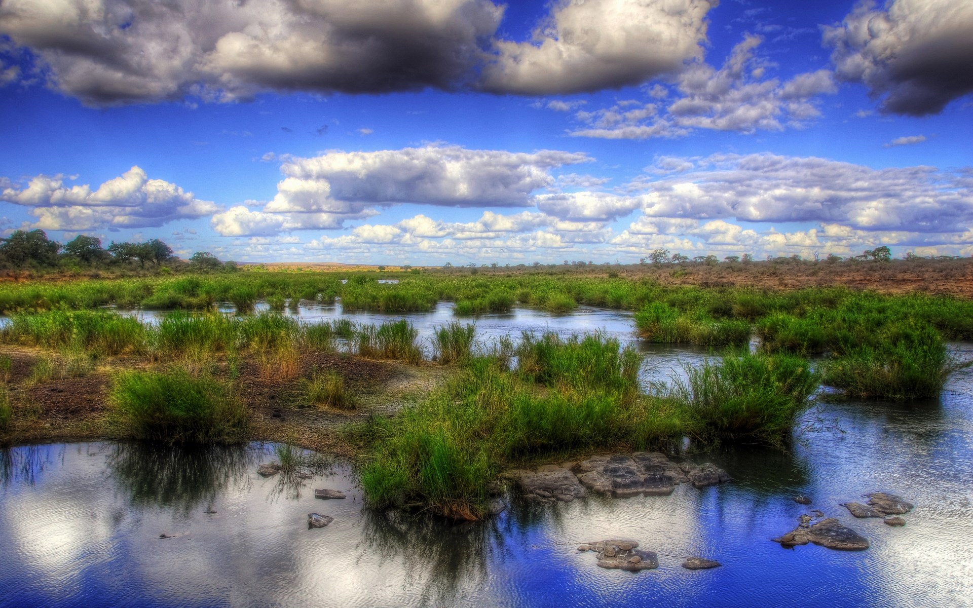 River with reeds and clouds HD Wallpaper