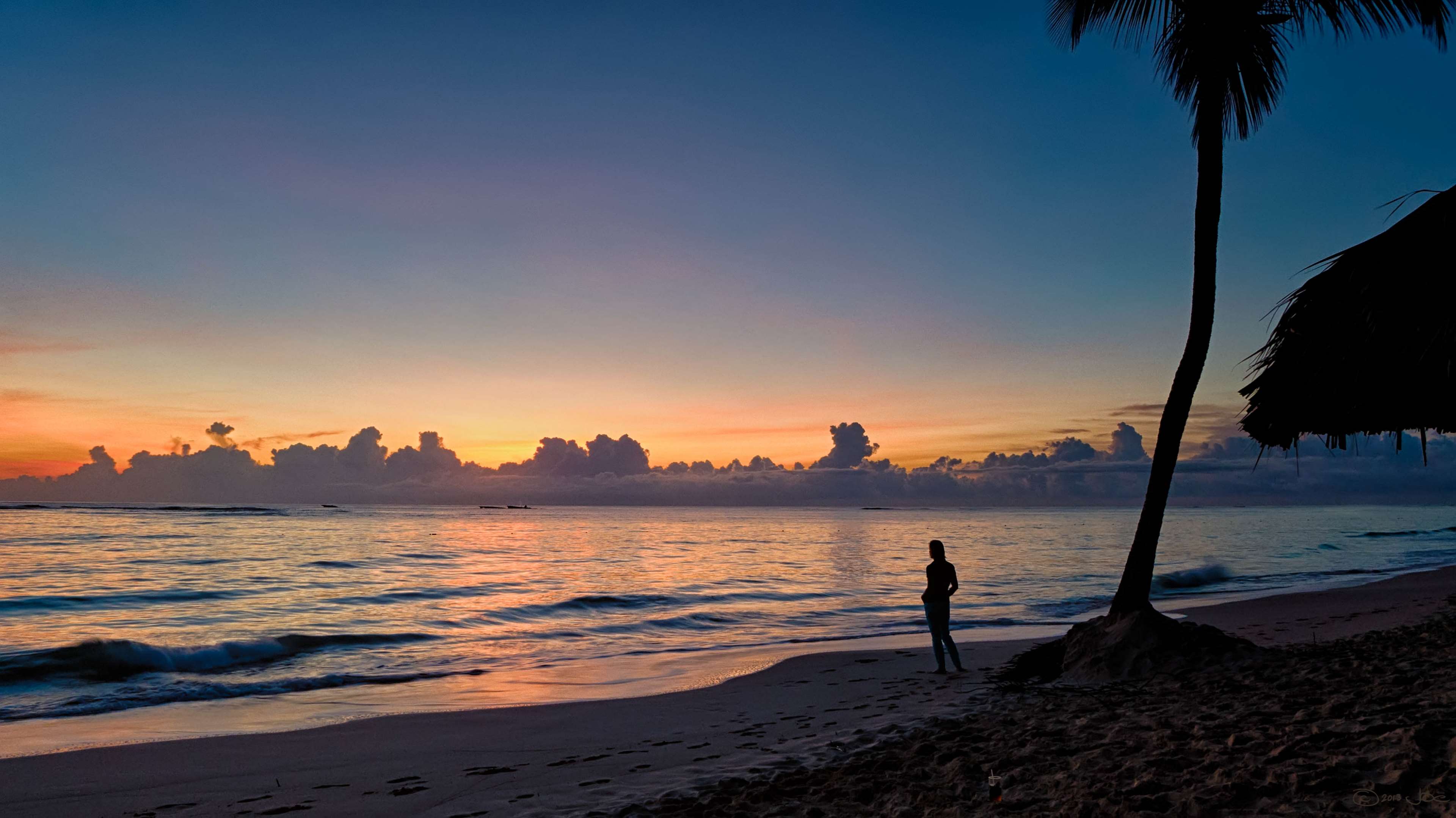 Woman standing on beach at sunset with palm tree HD Wallpaper