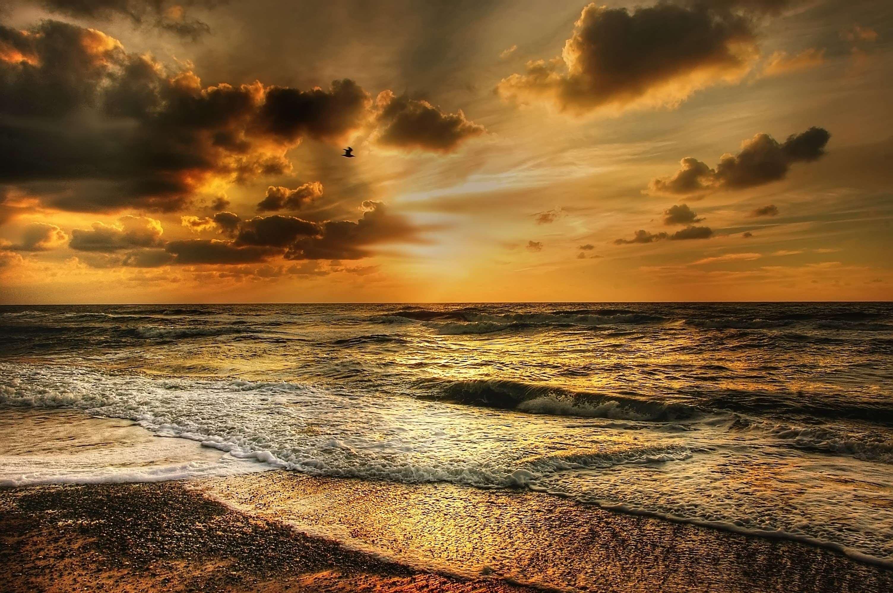 Dramatic Sunset Over Ocean Shore HD Wallpaper