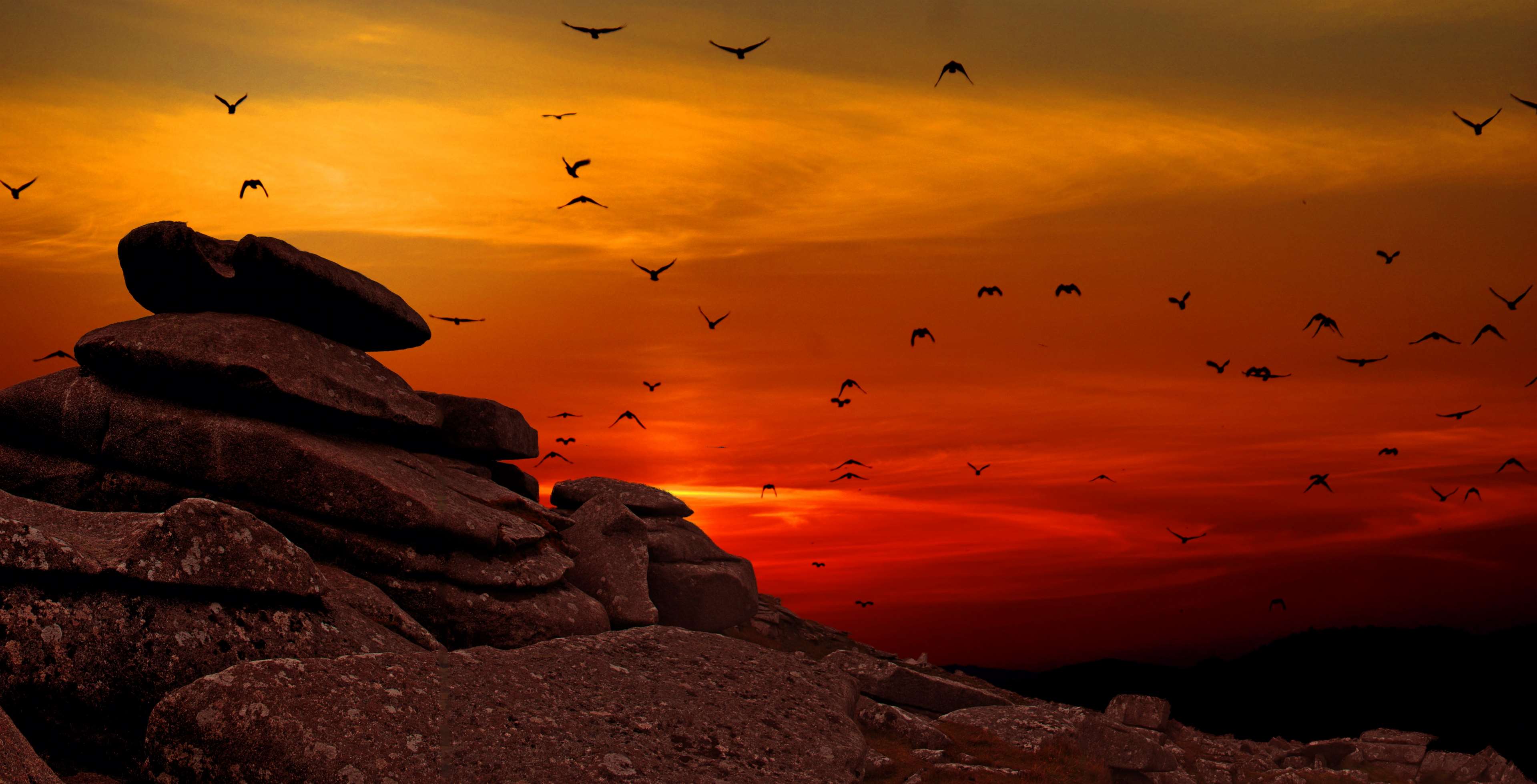 Flock of birds flying at sunset over rocks 4K HD Wallpaper