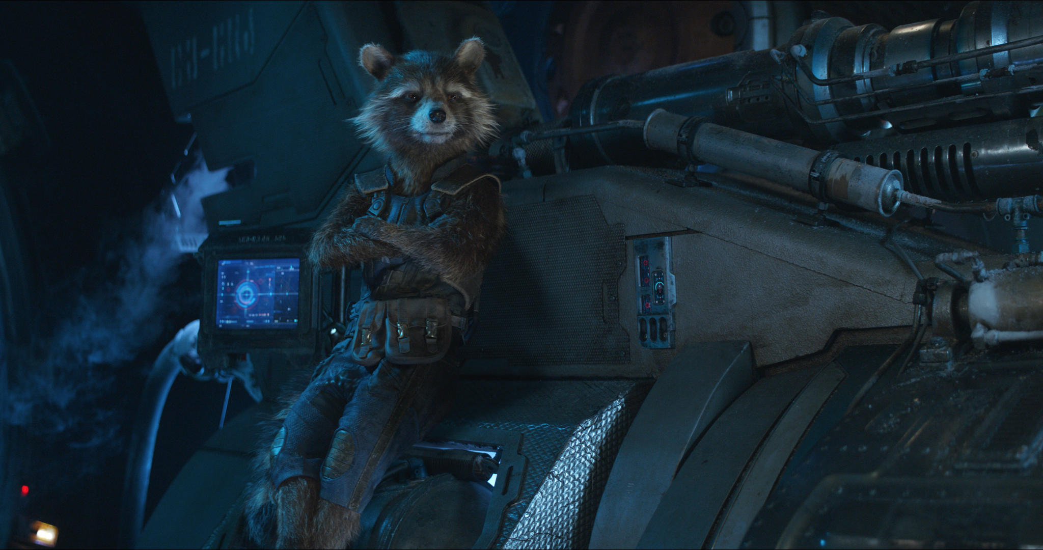 Rocket Raccoon from Avengers Infinity War HD Wallpaper