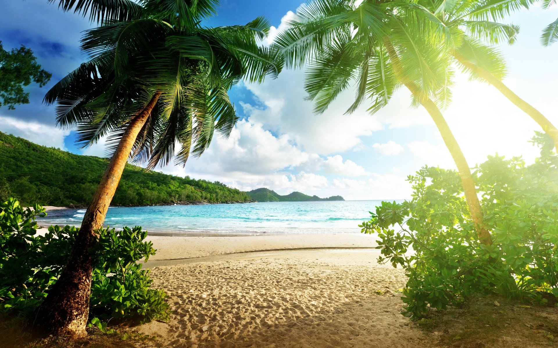 Tropical beach with palm trees and turquoise water HD Wallpaper