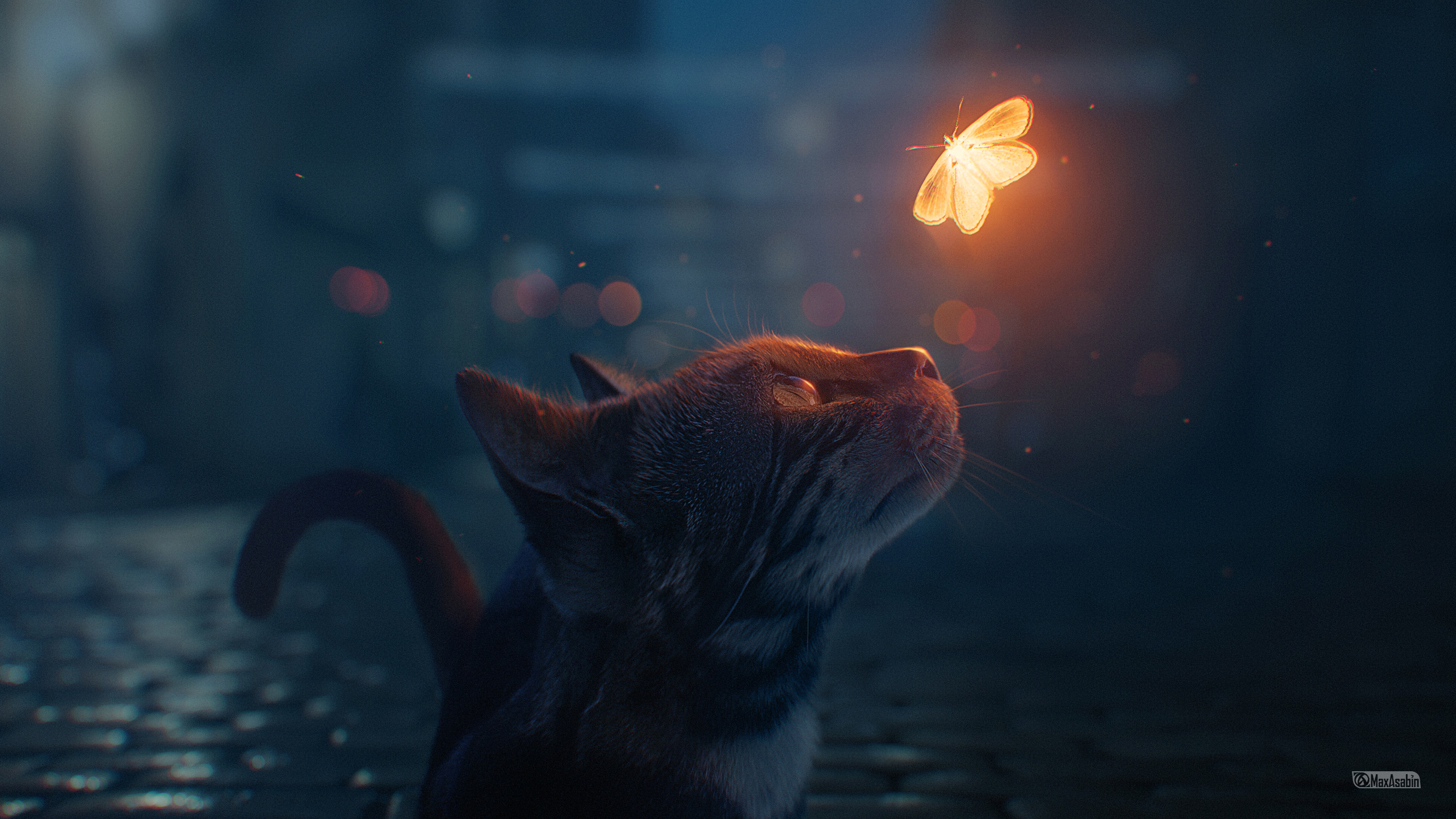 Cat looking at a glowing butterfly HD Wallpaper