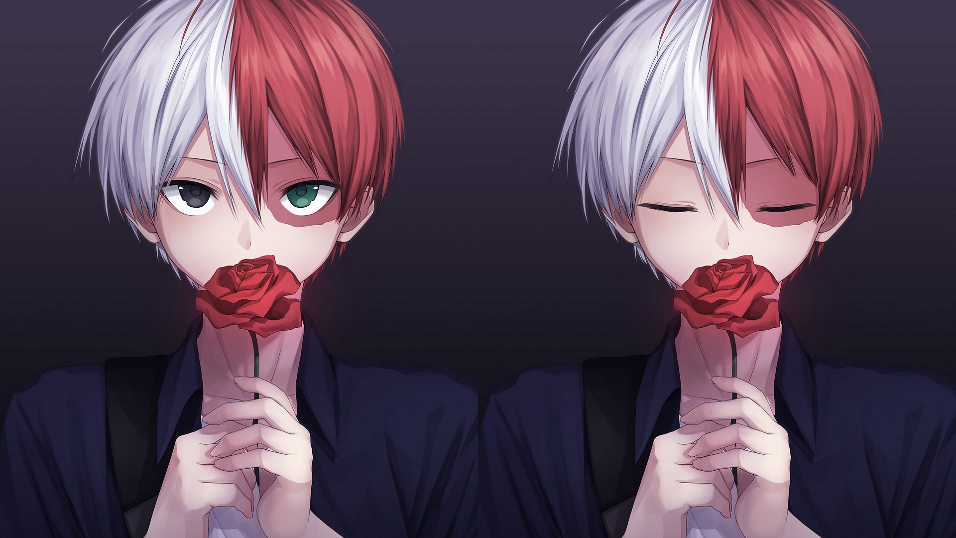 Shouto Todoroki Holding a Rose HD Wallpaper