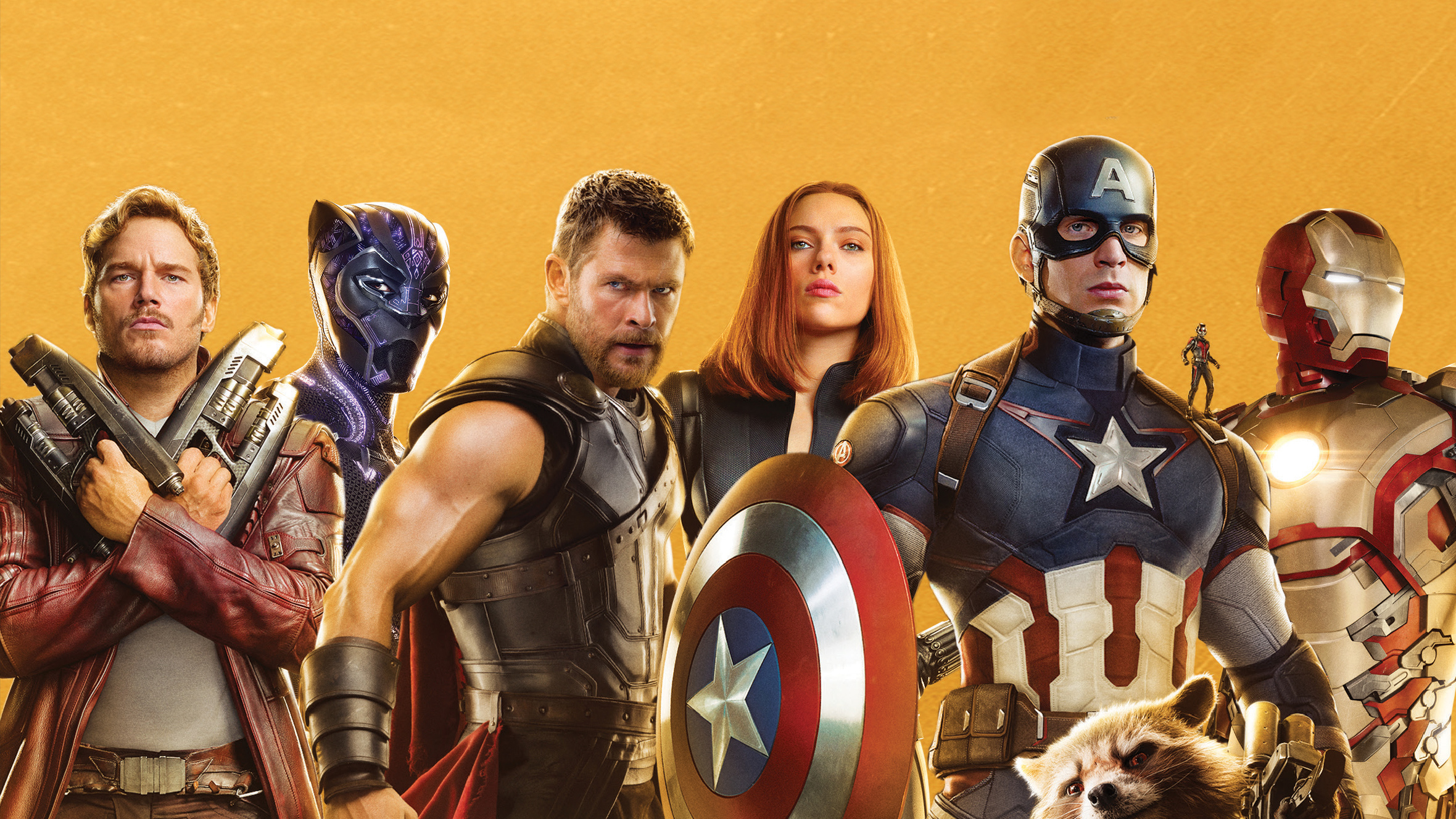 Star Lord, Black Panther, Thor, Black Widow, Captain America, Iron Man, Ant-Man, and Rocket HD Wallpaper