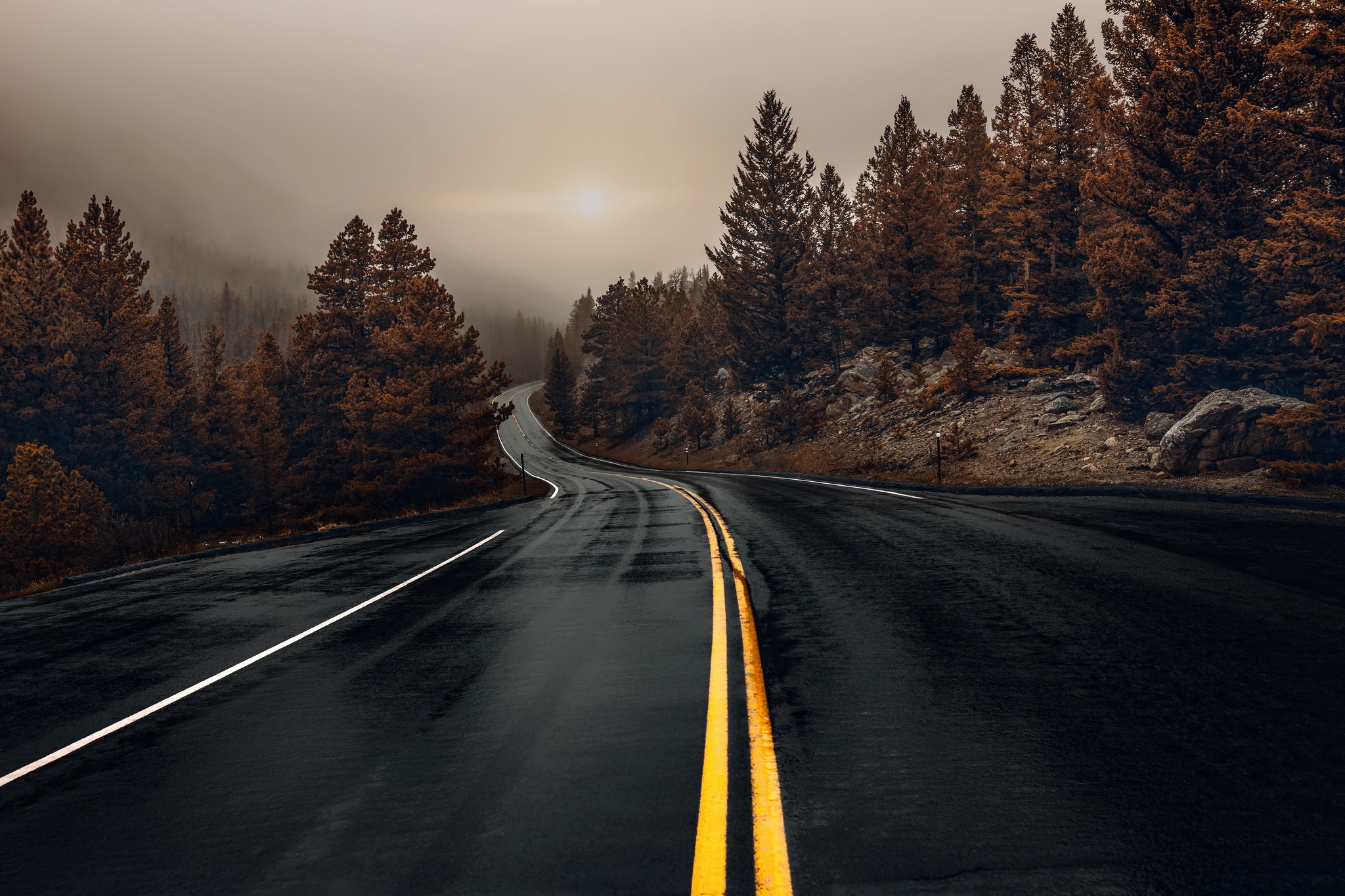 Winding Road Through Autumn Forest HD Wallpaper