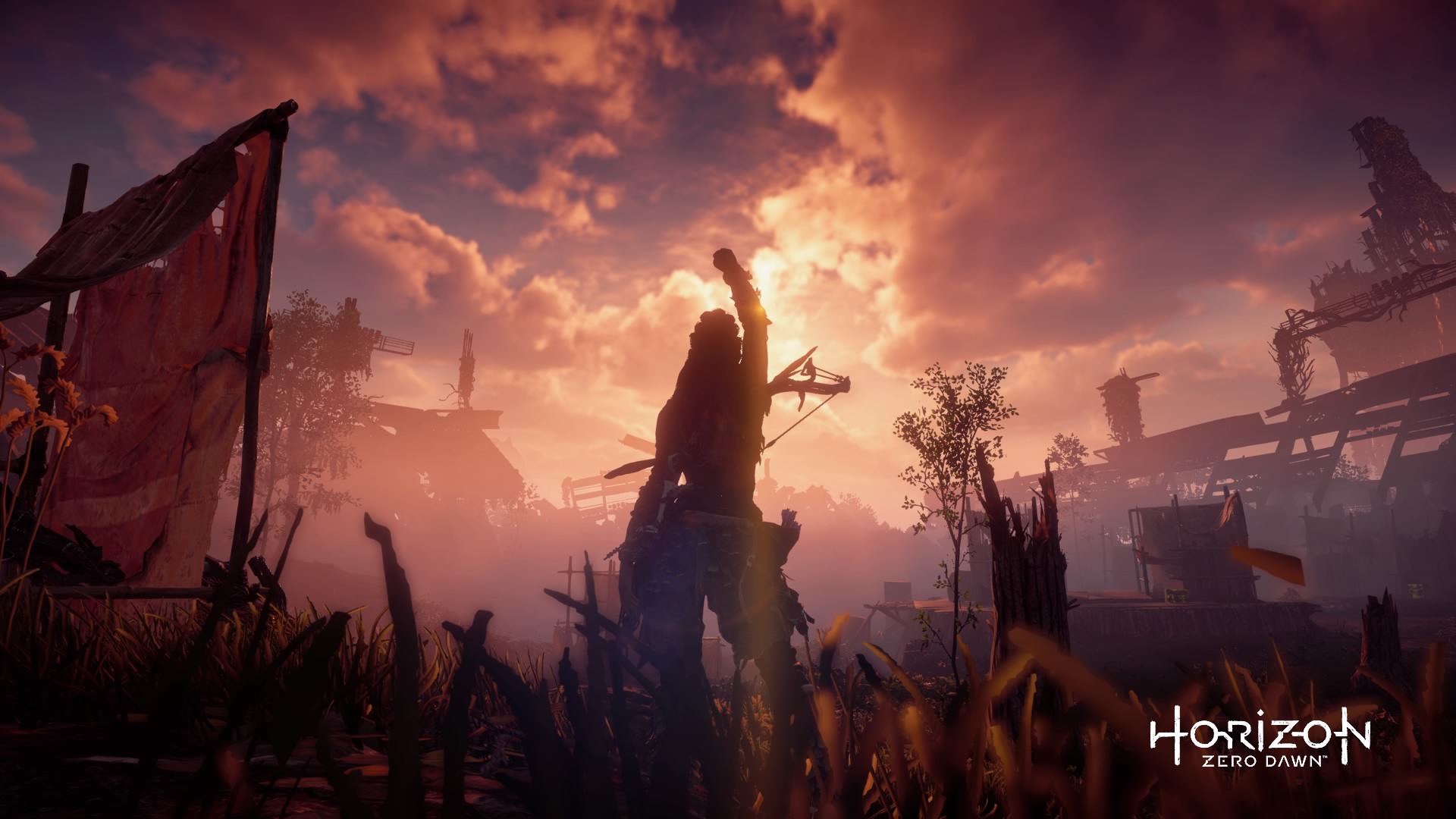 Aloy from Horizon Zero Dawn at sunset HD Wallpaper