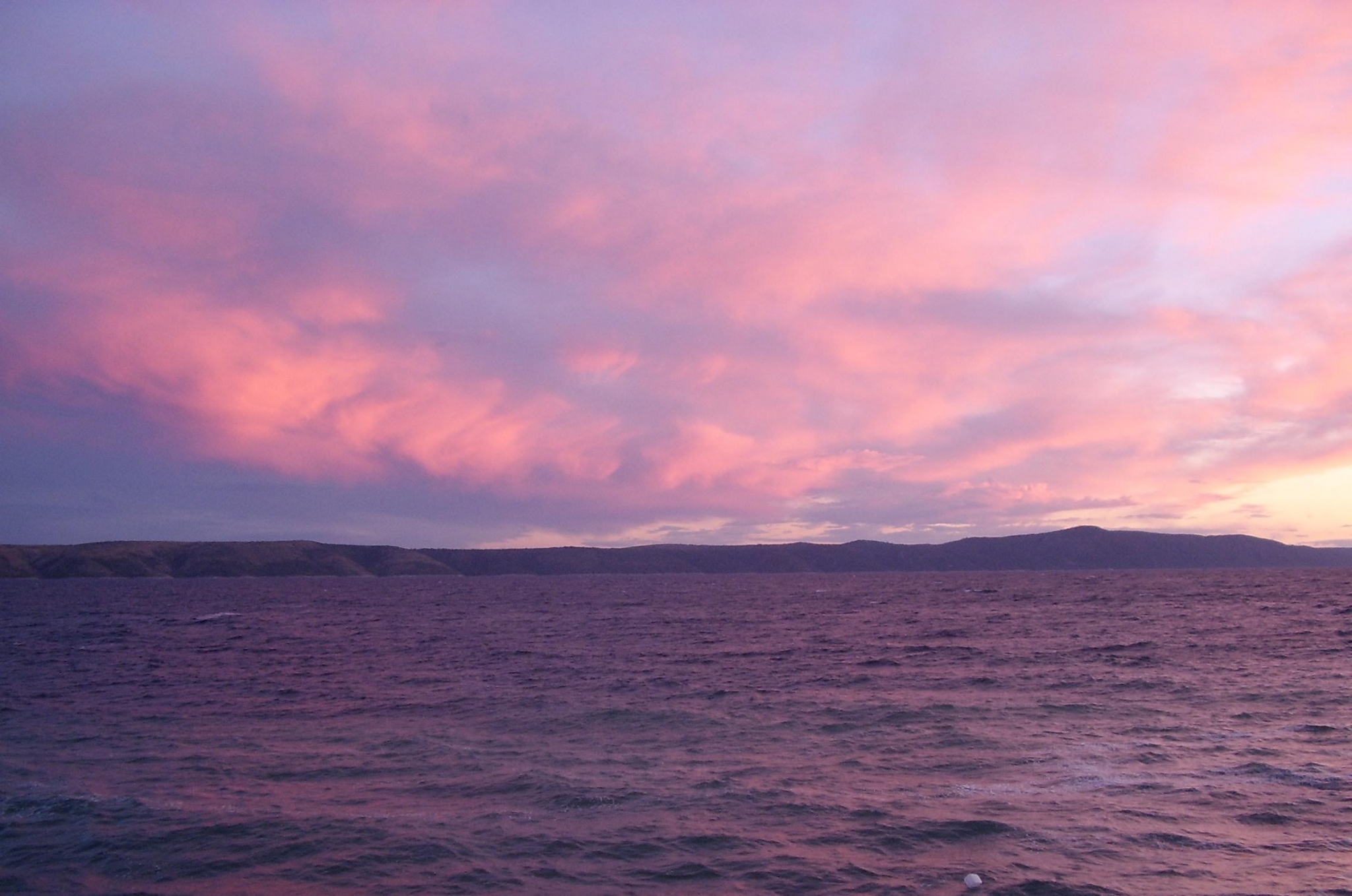 Pink and purple clouds over the ocean at sunset HD Wallpaper