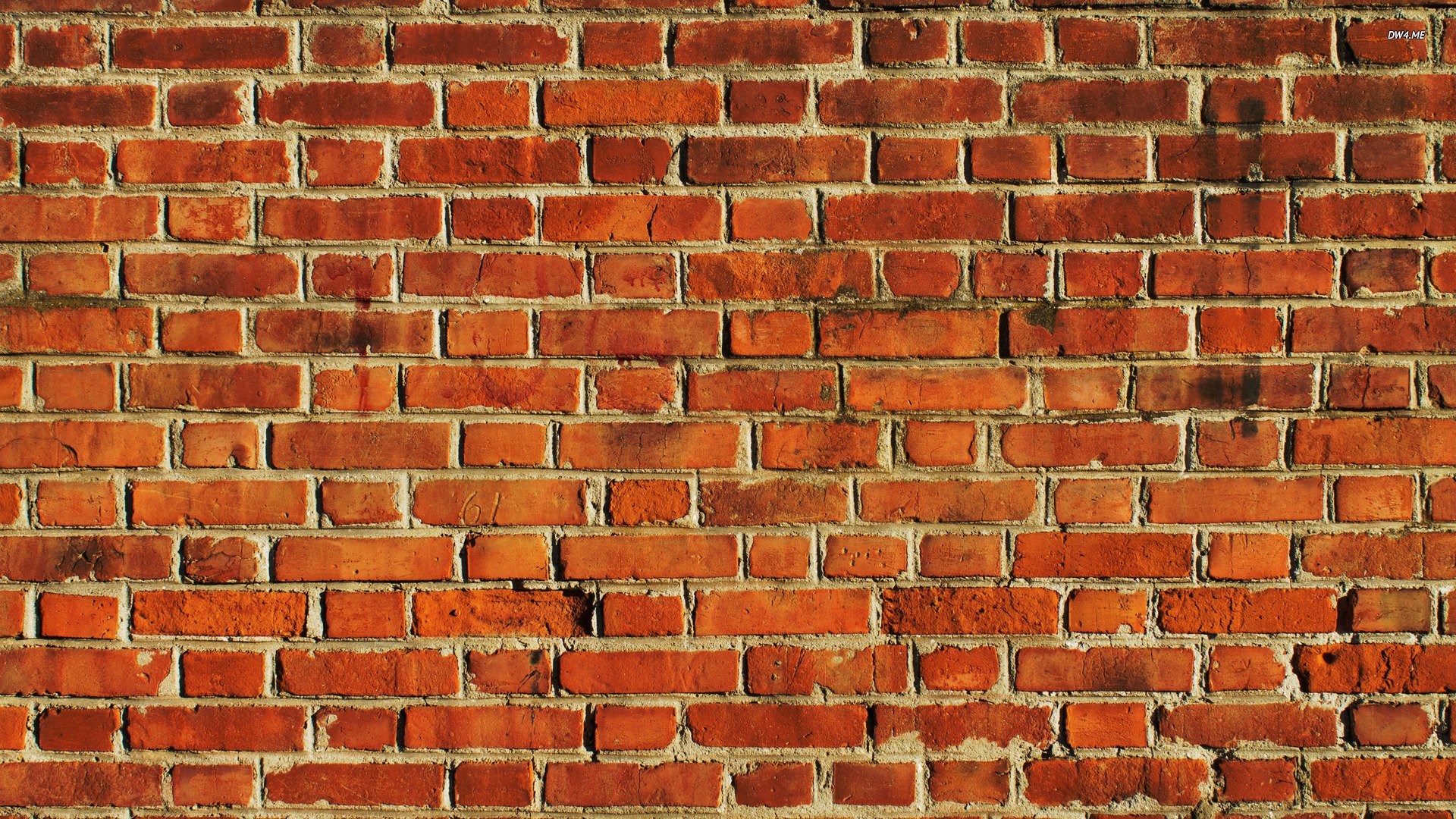 Red brick wall texture HD Wallpaper
