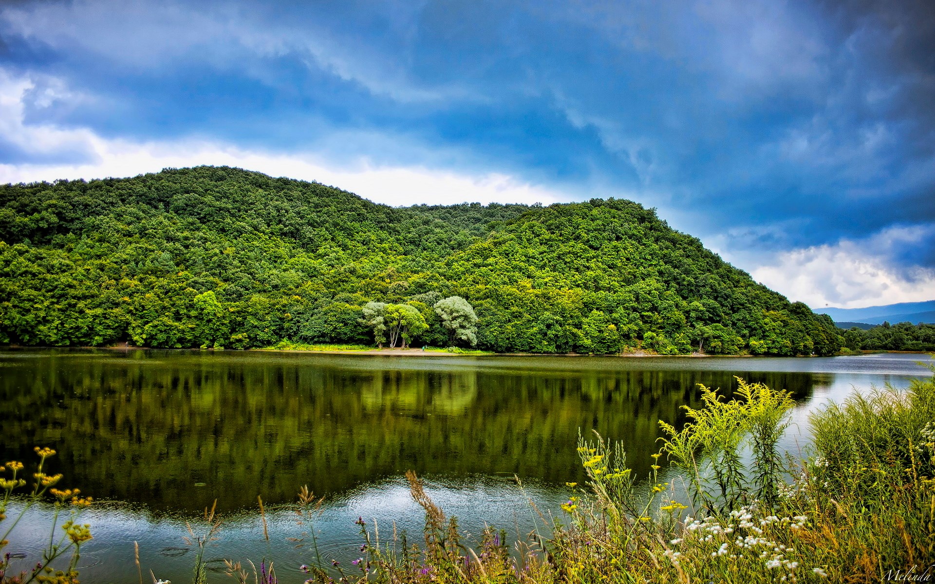 Green forested hill reflected in a calm lake under a cloudy sky HD Wallpaper