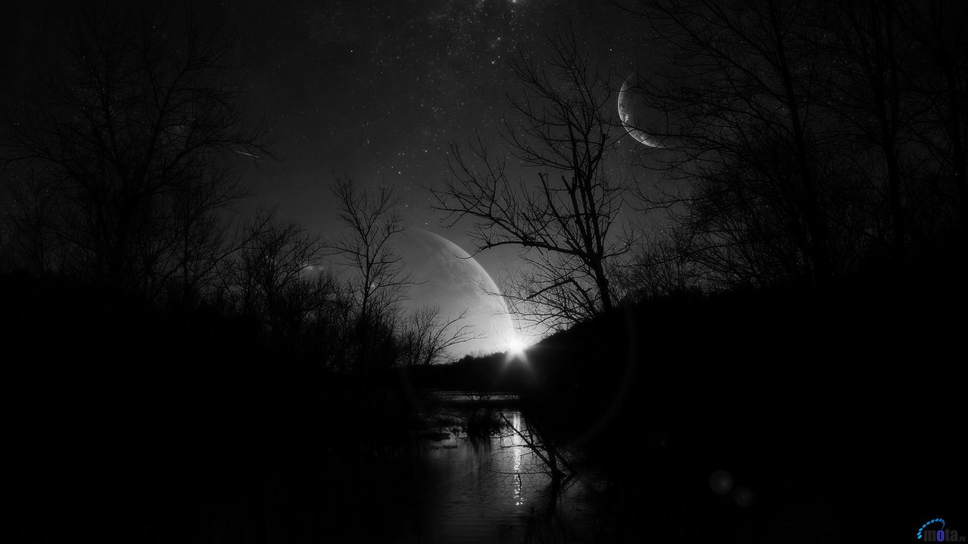 Dark night sky with planets and trees HD Wallpaper