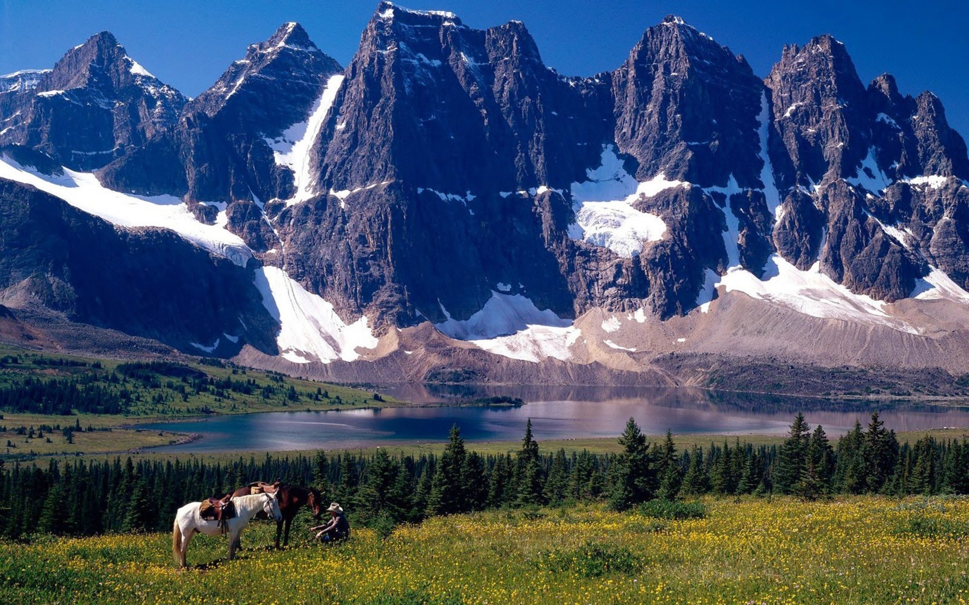 Horses and person in a mountain landscape with a lake HD Wallpaper