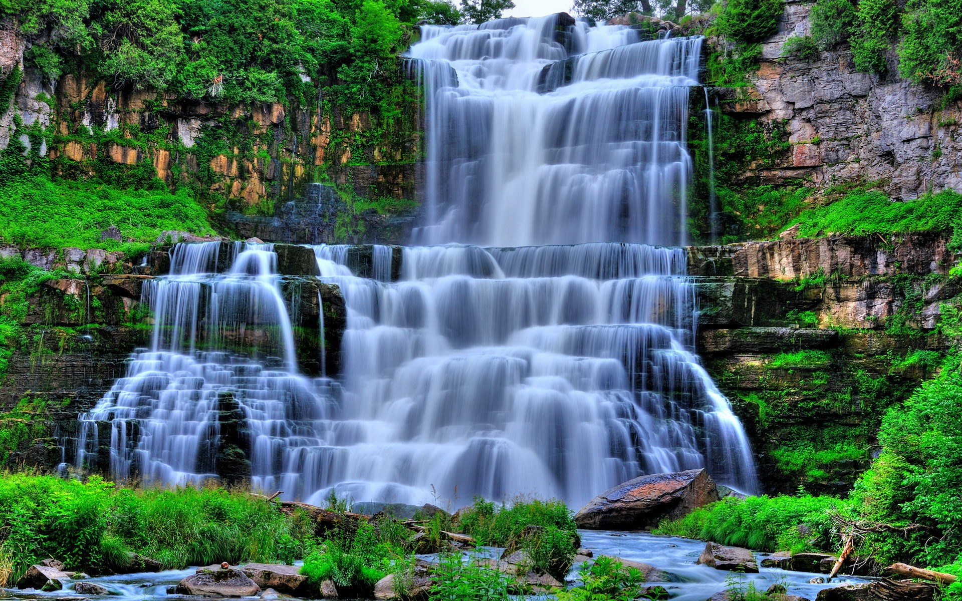 Cascading Waterfall in a Lush Green Forest HD Wallpaper