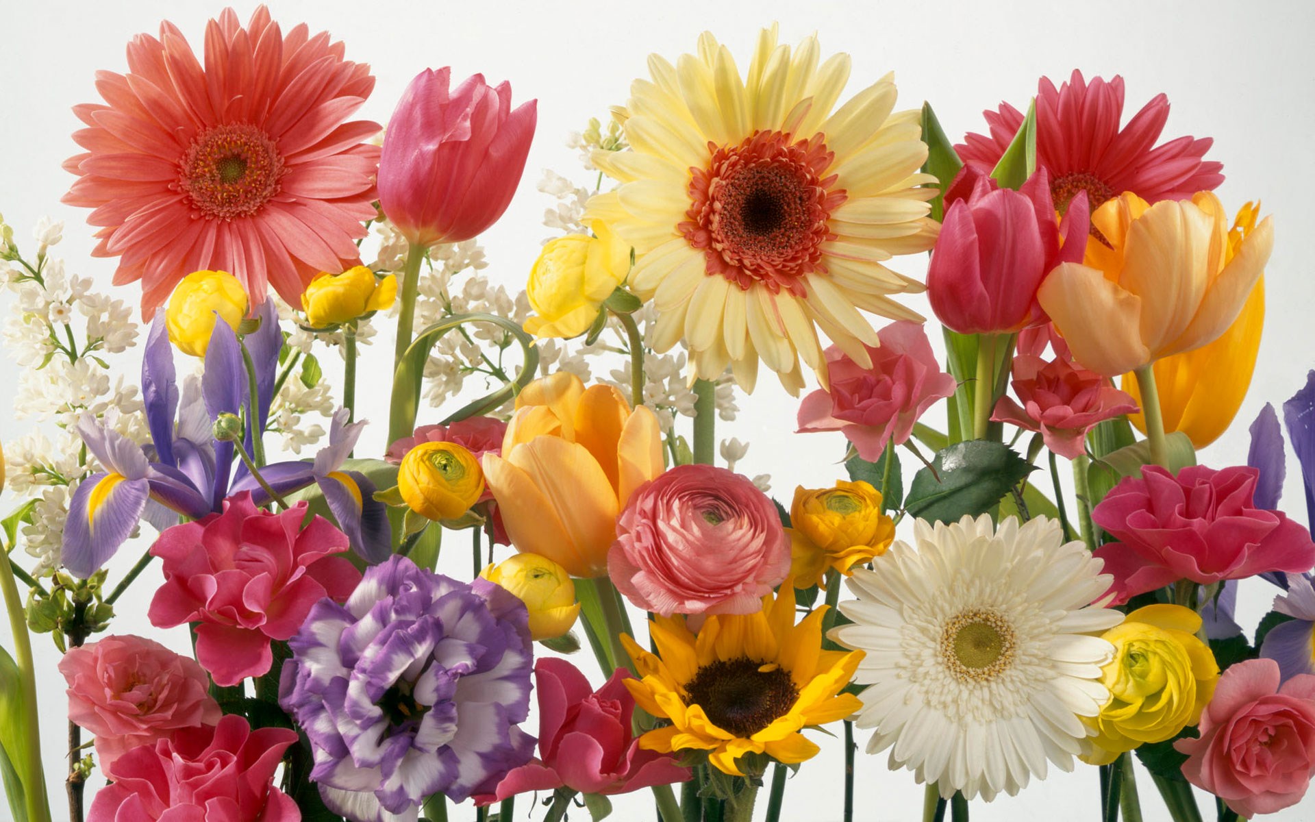Spring flowers bouquet HD Wallpaper