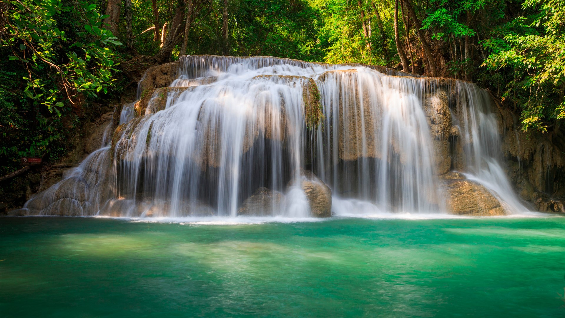 Beautiful Waterfall in a Lush Forest HD Wallpaper