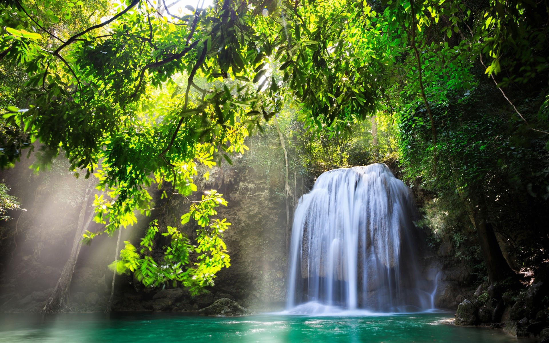 Waterfall in a Lush Green Forest HD Wallpaper