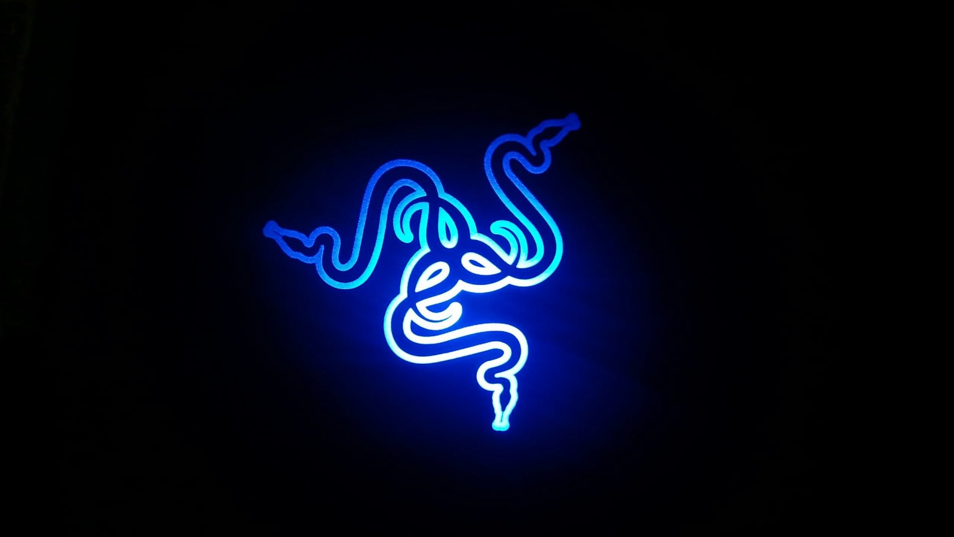 Razer logo neon light HD Wallpaper