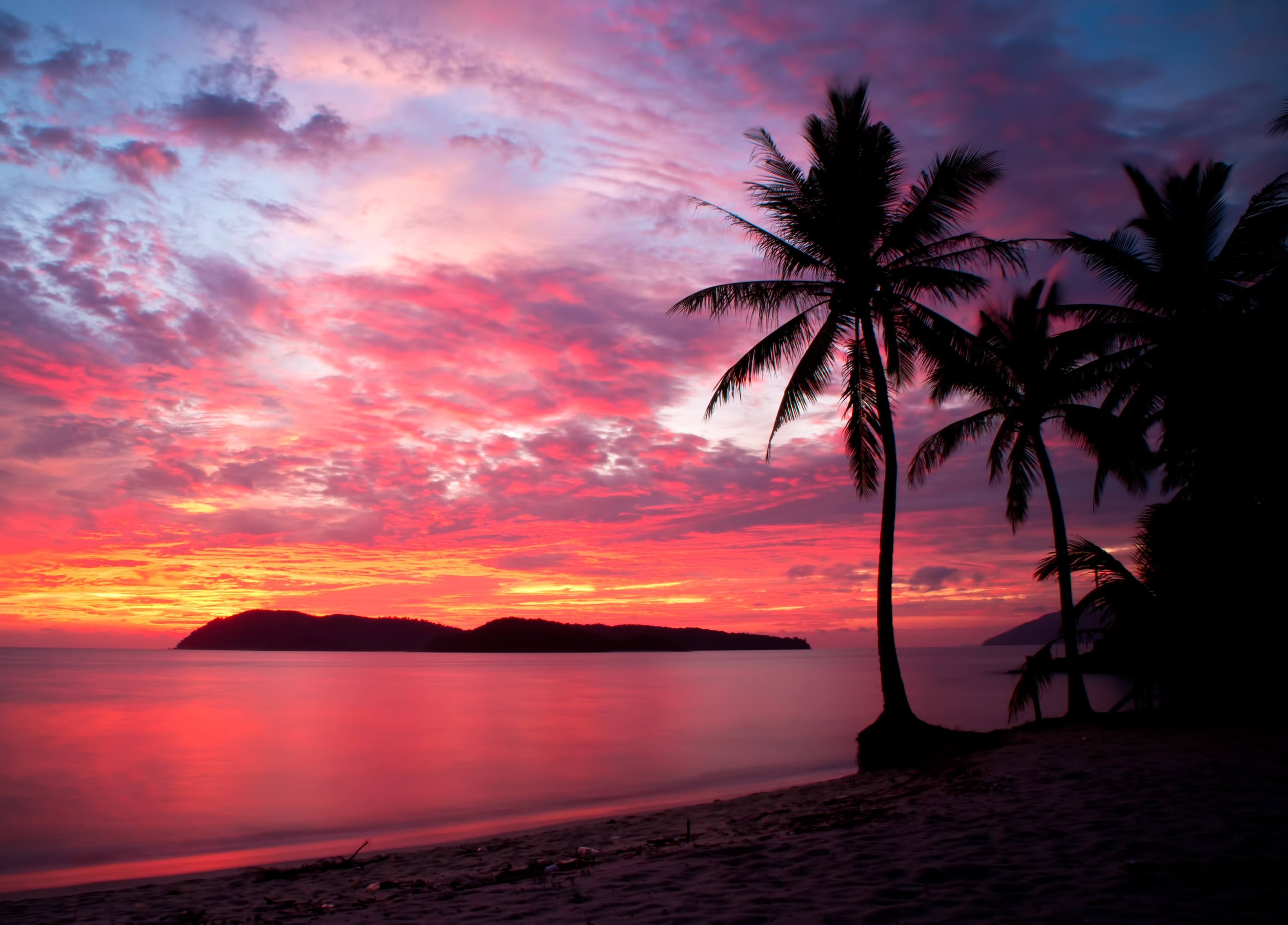 Tropical beach sunset with palm trees HD Wallpaper