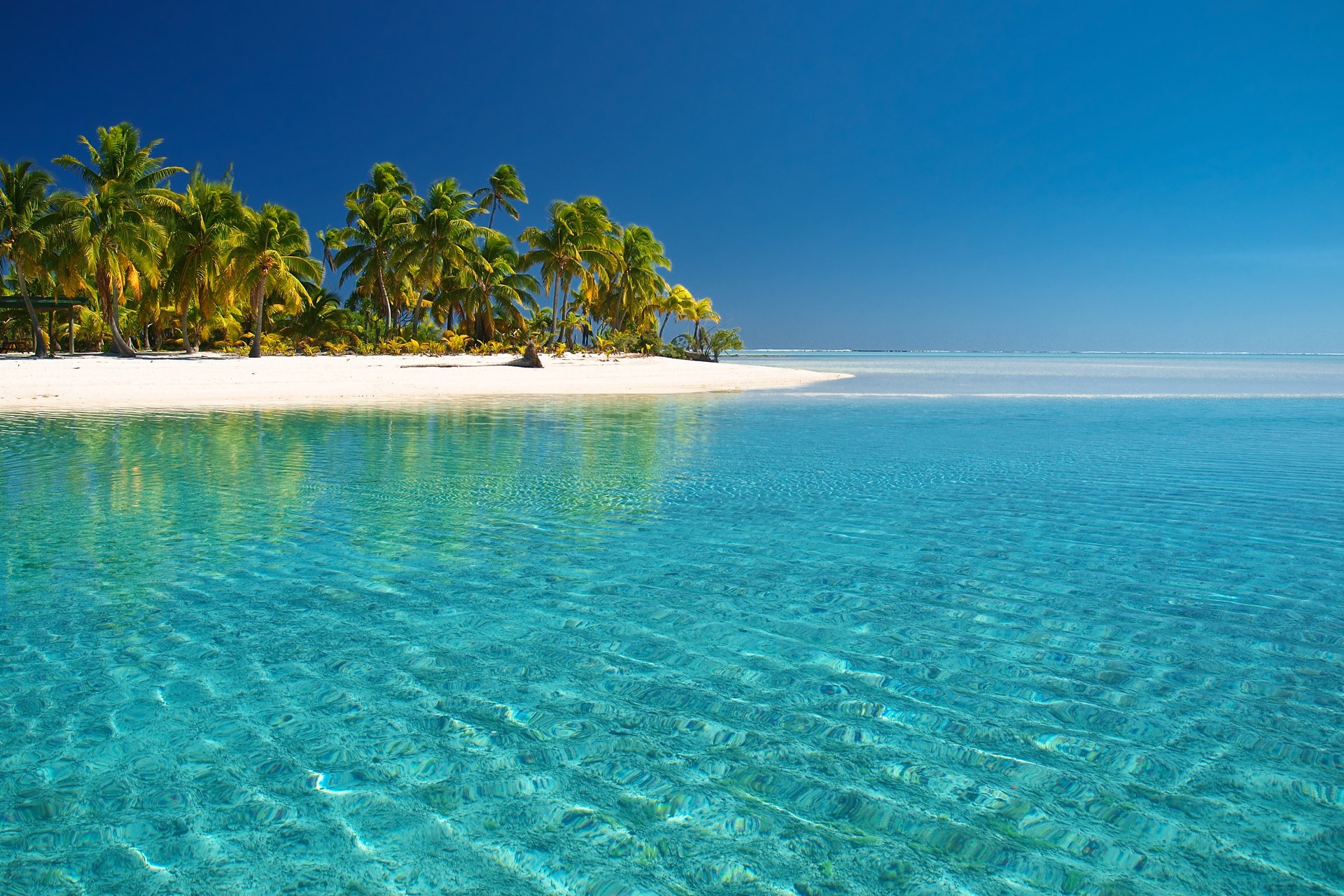 Tropical island with palm trees and clear blue water HD Wallpaper