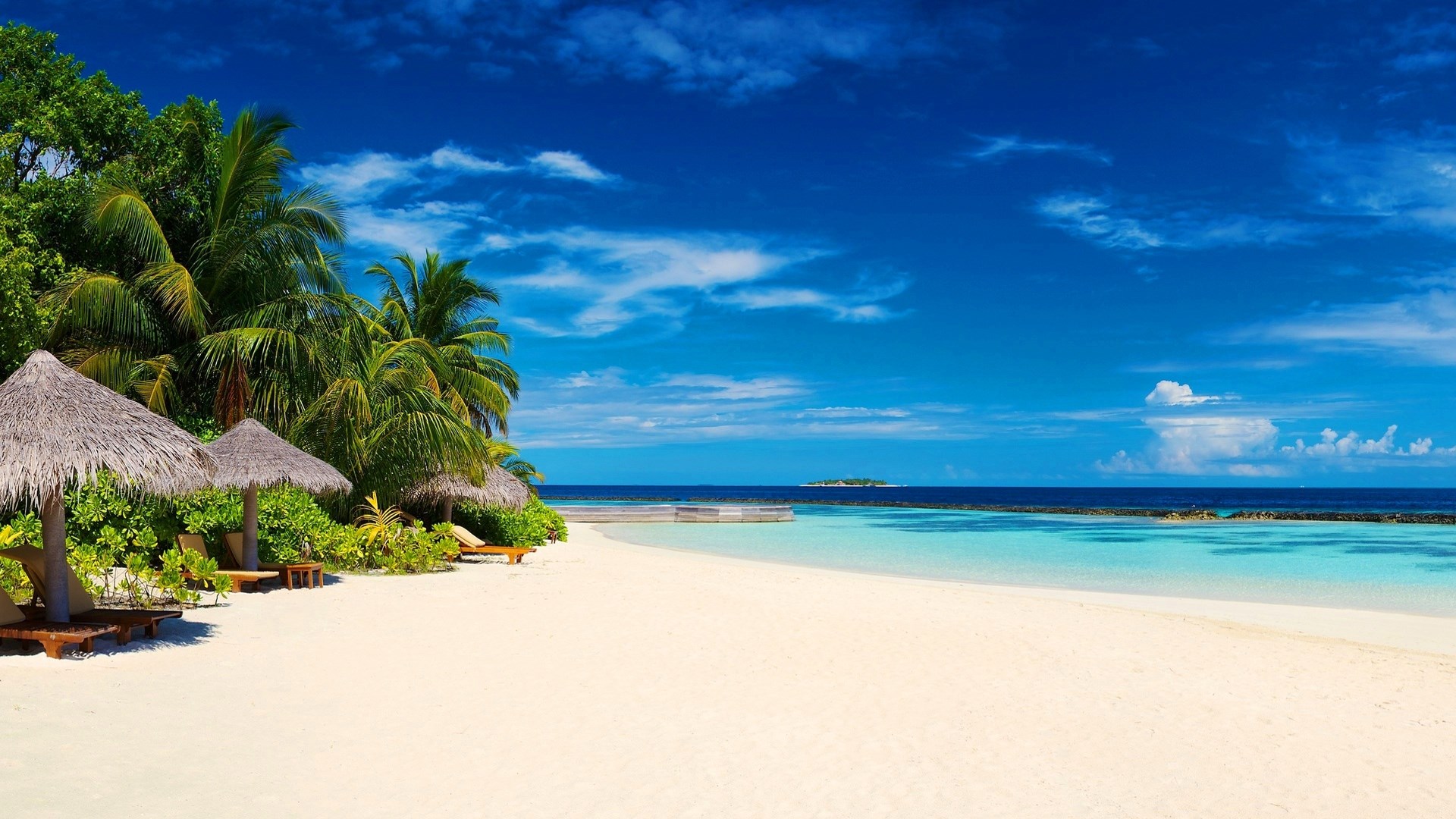 Tropical beach with palm trees and umbrellas HD Wallpaper