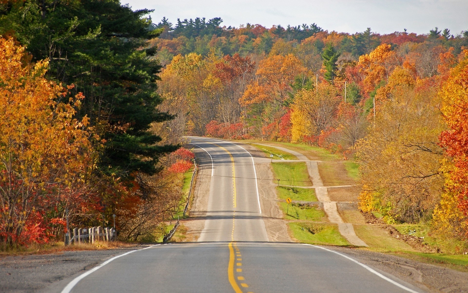 Winding road through autumn forest HD Wallpaper