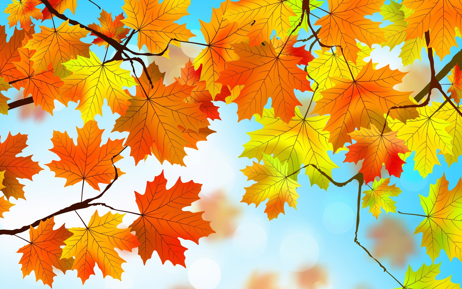 Autumn maple leaves on branches against blue sky HD Wallpaper