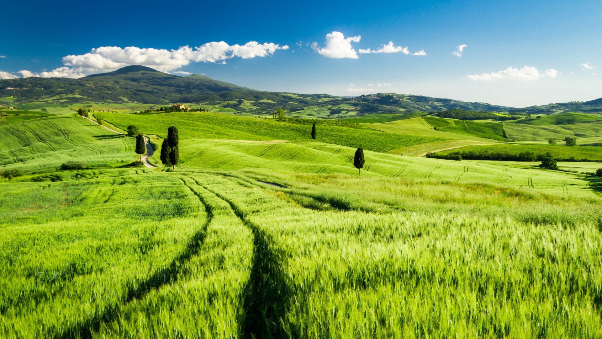 Tuscan Rolling Hills Landscape HD Wallpaper