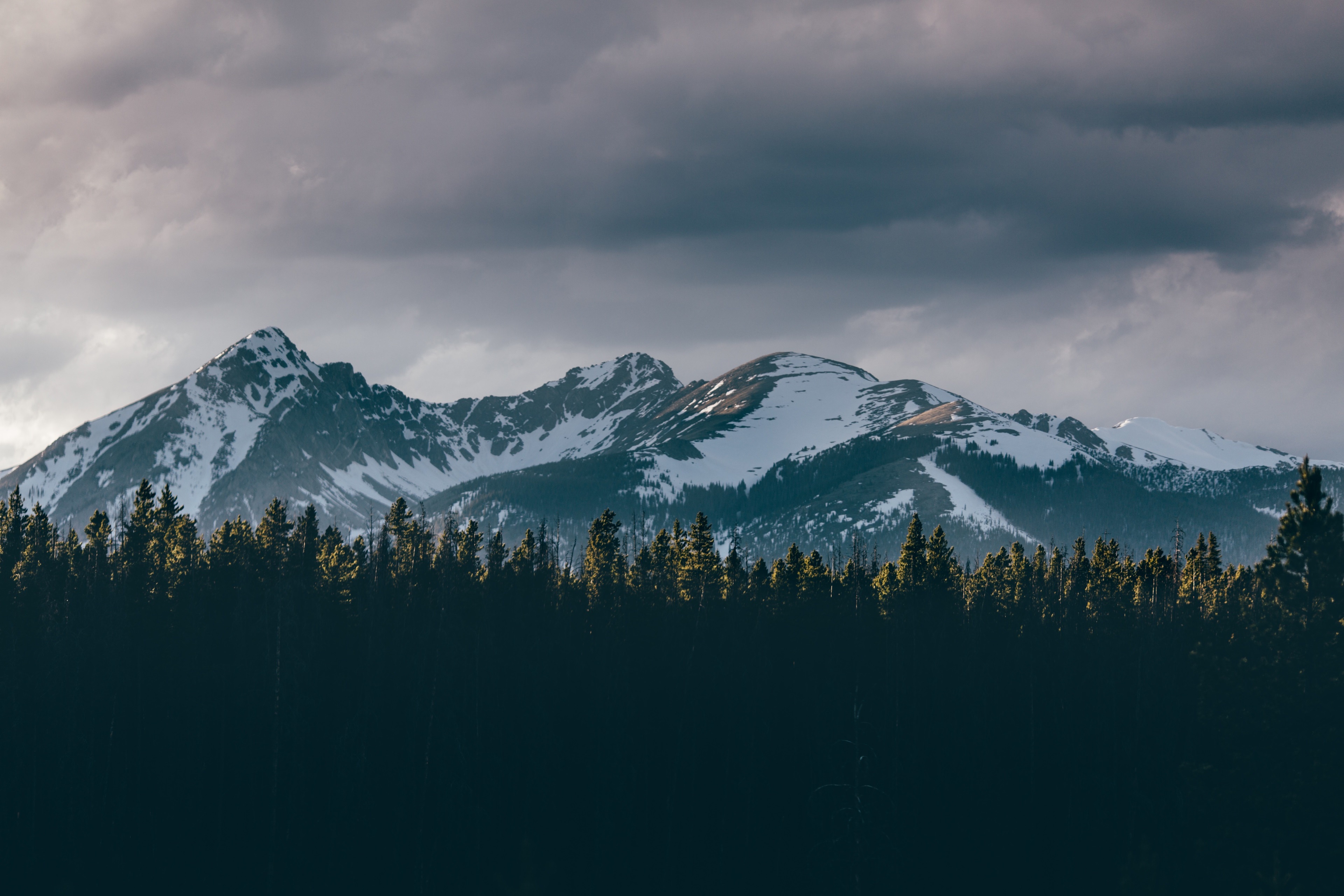 Snow-capped mountains behind a dark forest HD Wallpaper
