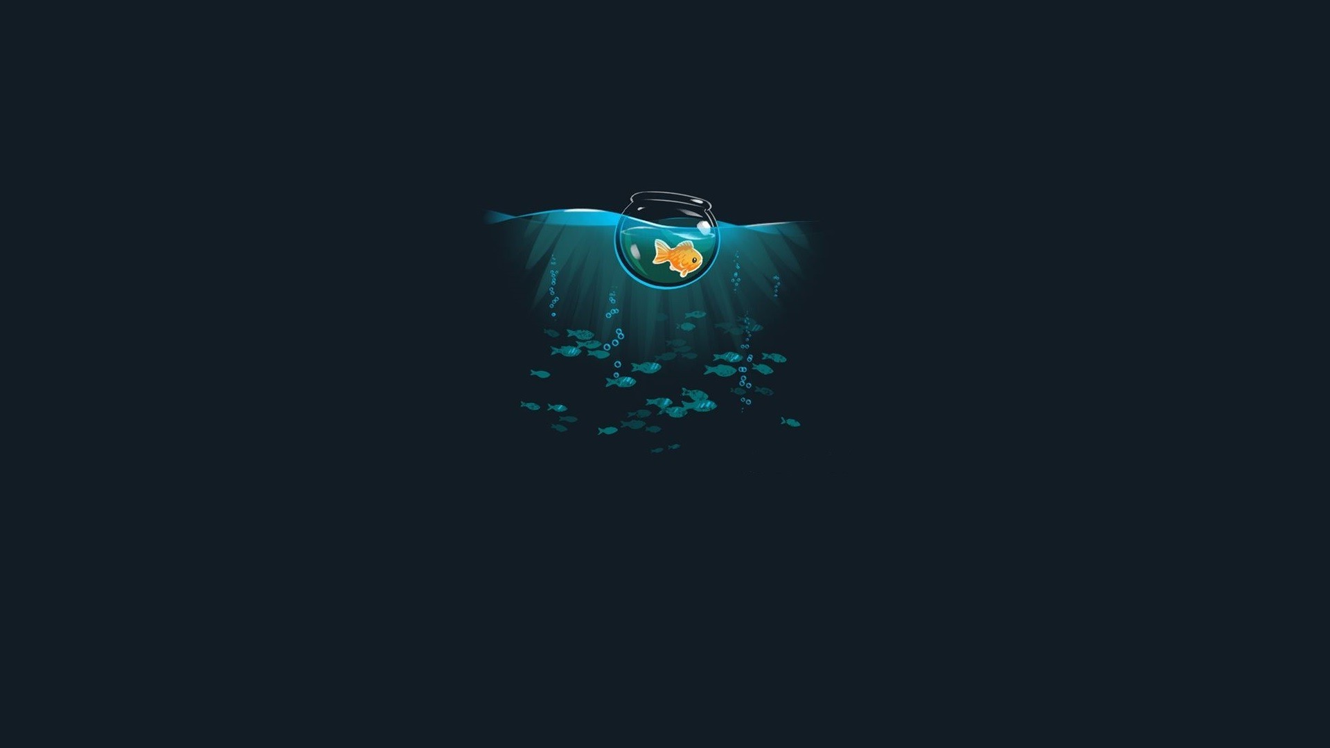 Goldfish in a bowl surrounded by other fish HD Wallpaper