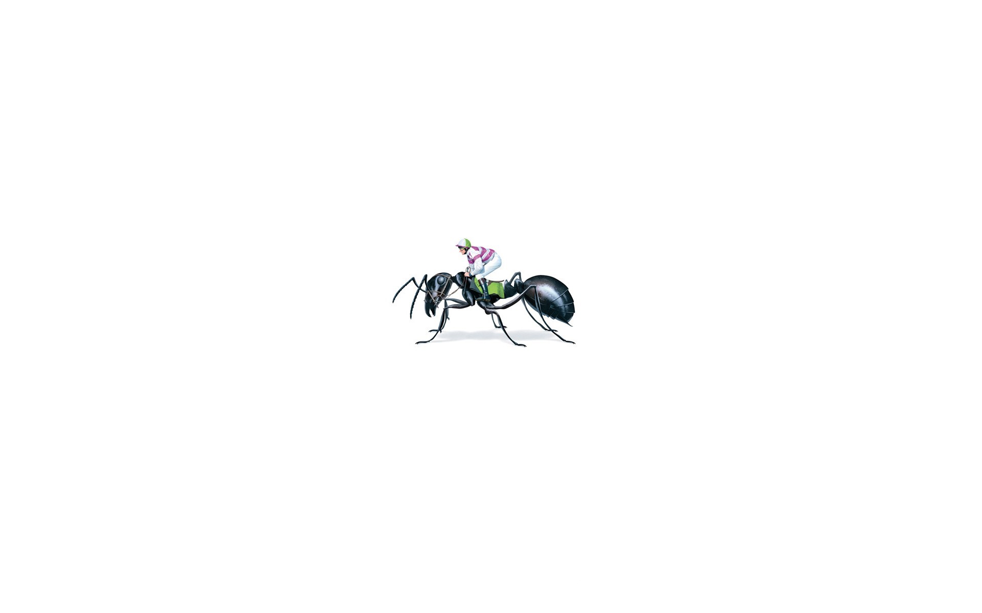 Ant with a jockey riding it HD Wallpaper