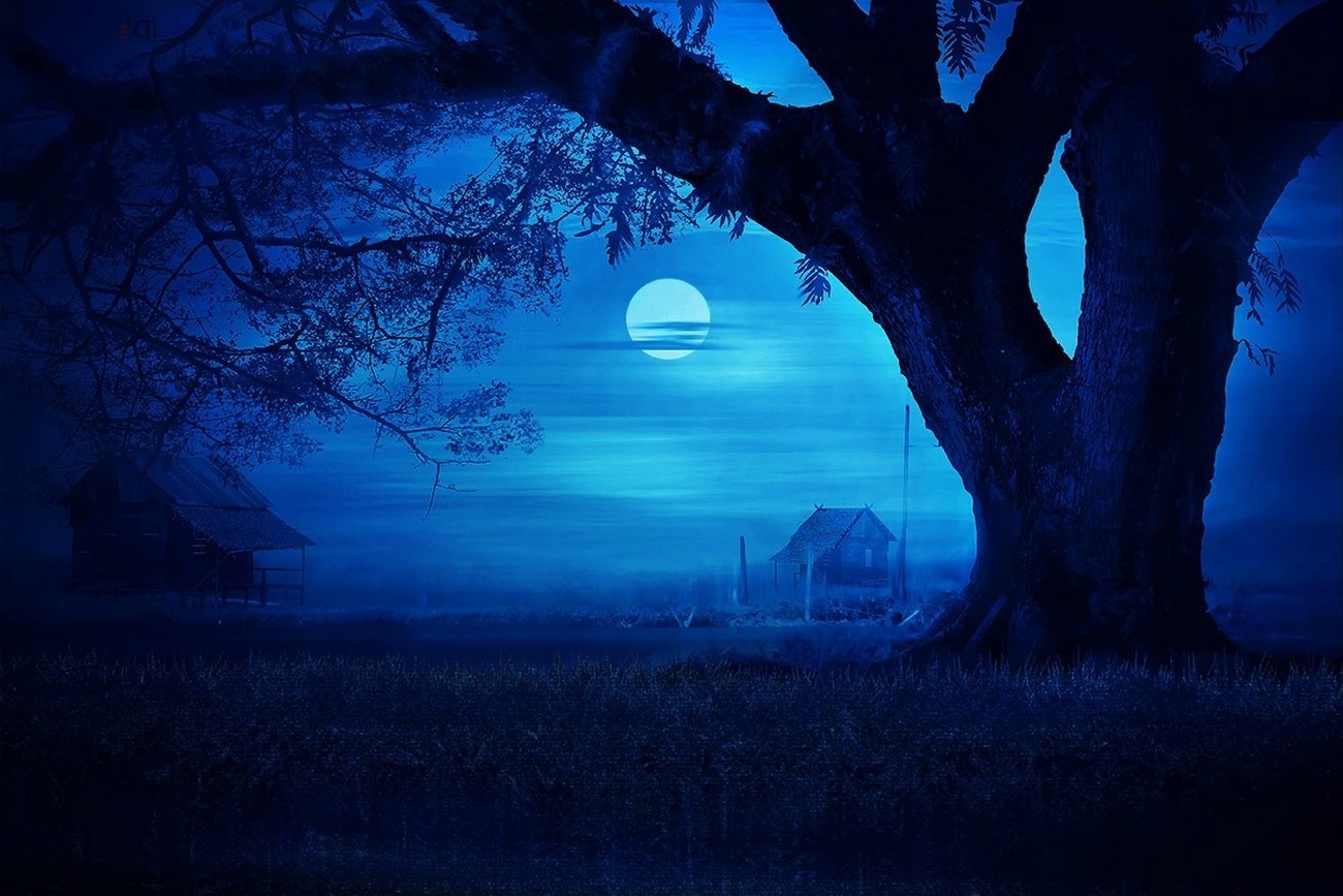 Blue moon night with huts and trees HD Wallpaper