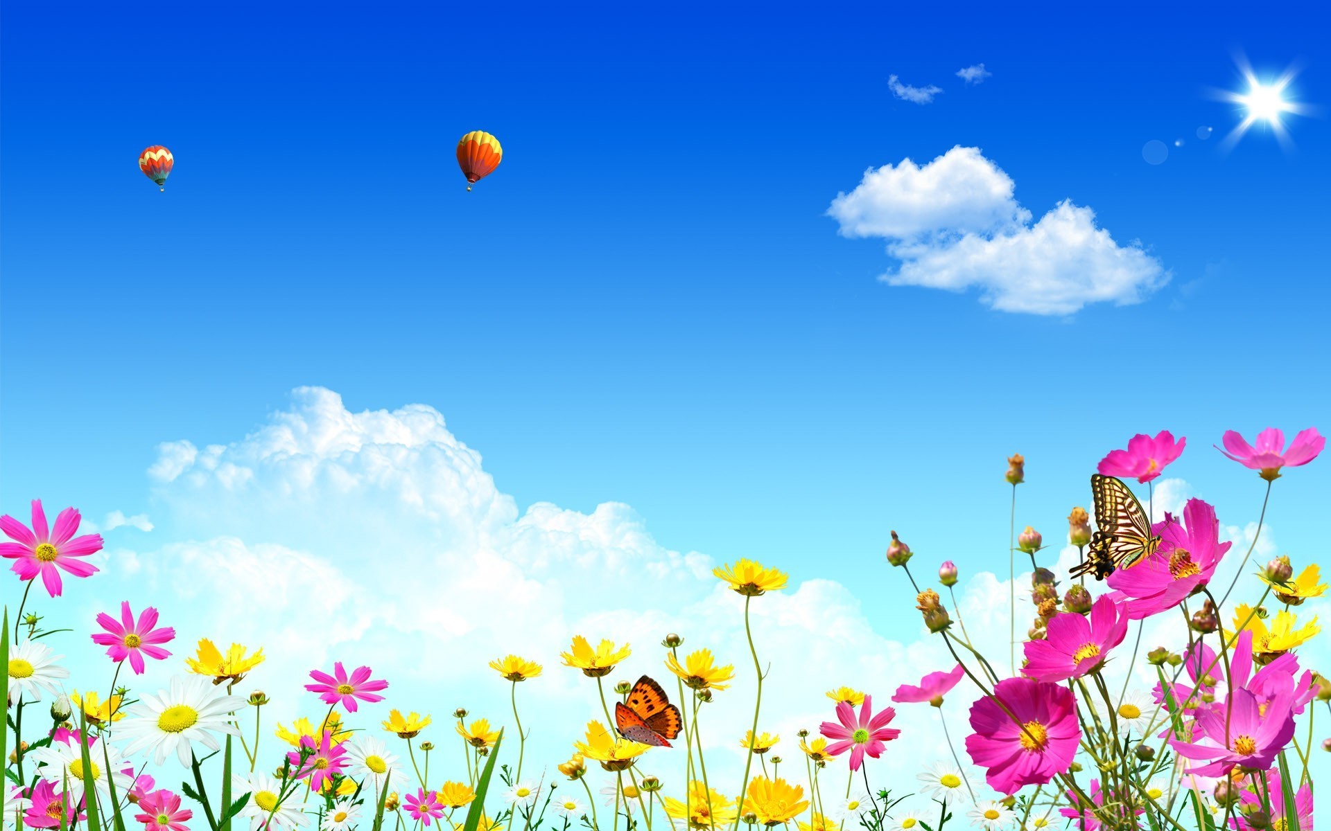 Field of flowers with butterflies and hot air balloons HD Wallpaper