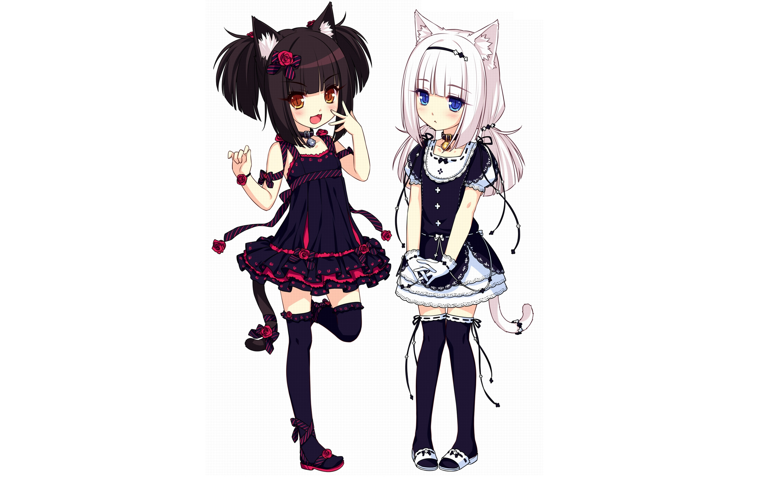 NekoPara Anime Girls with Cat Ears HD Wallpaper