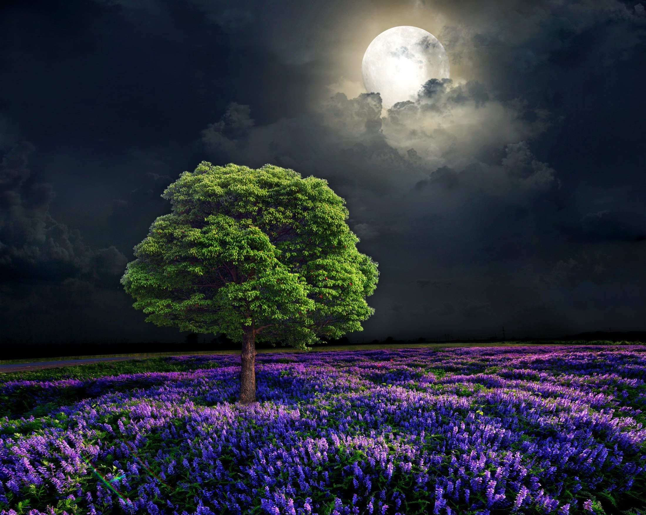 Lone Tree and Purple Flowers Under Full Moon HD Wallpaper