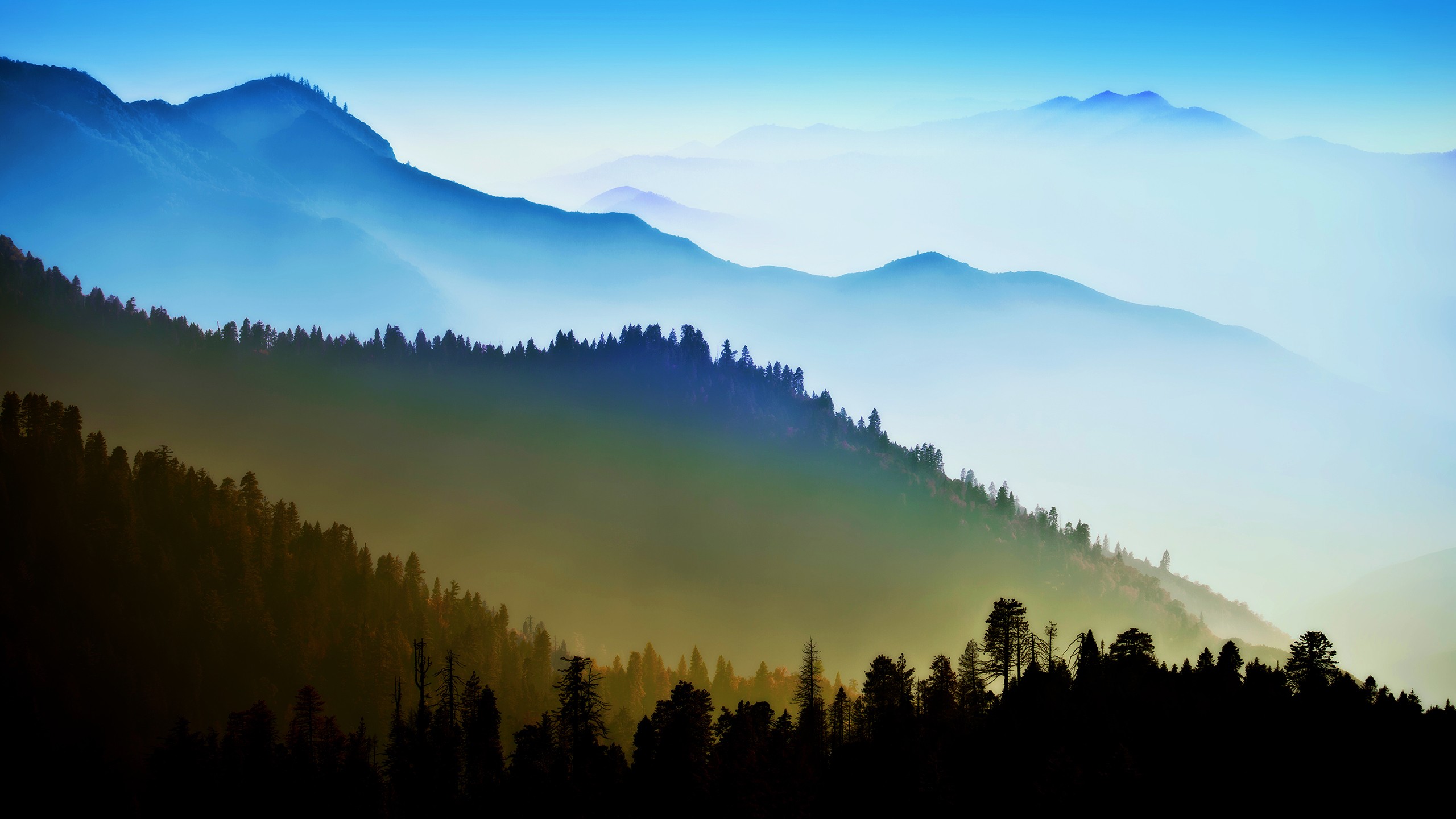 Misty mountains and forest landscape HD Wallpaper