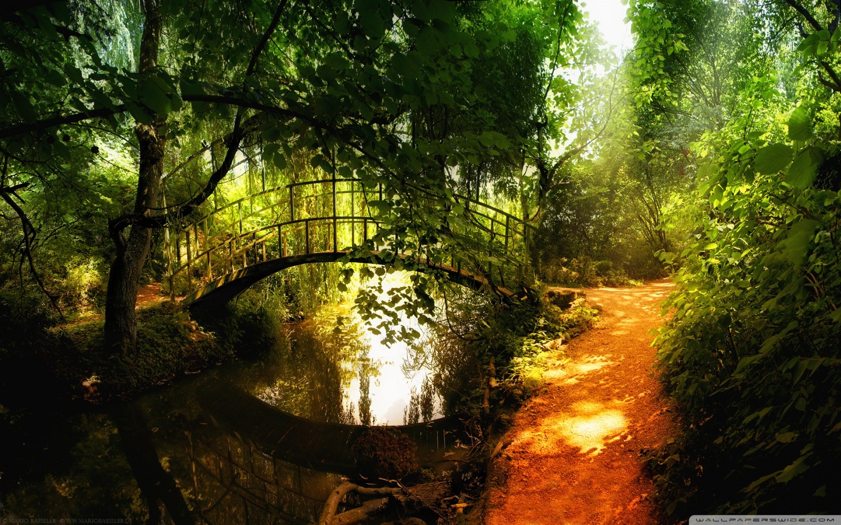 Nature landscape with bridge over water and trees HD Wallpaper