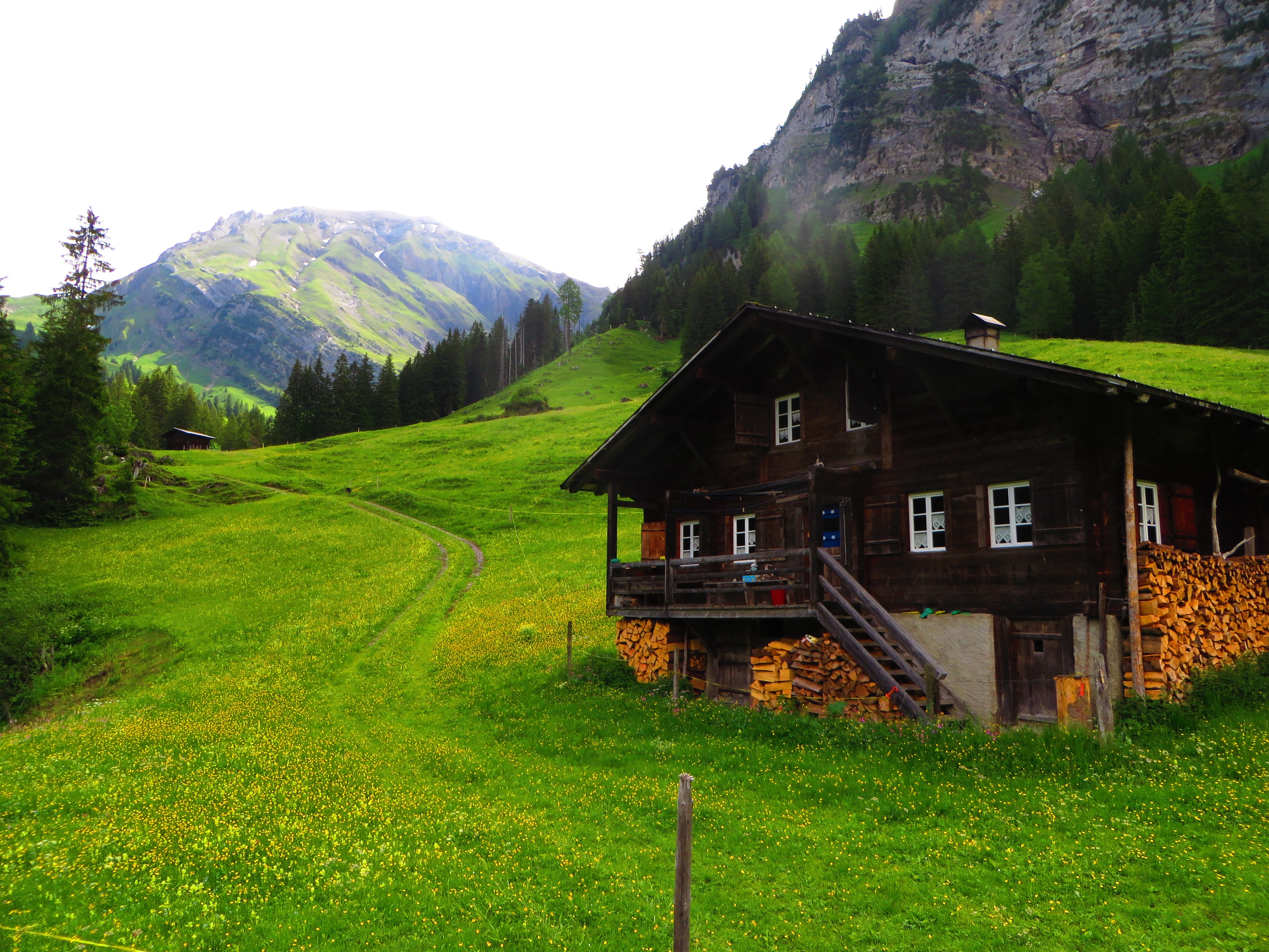 Chalet in Verdant Swiss Alps Meadow HD Wallpaper
