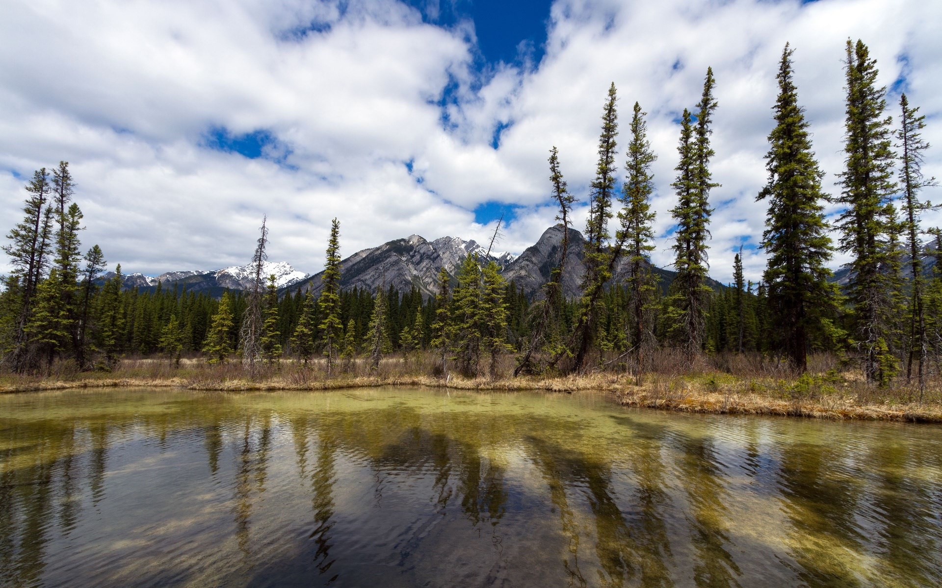 Mountain lake with pine trees and cloudy sky HD Wallpaper