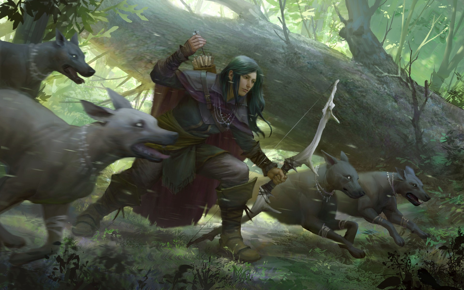 Fantasy warrior archer with wolves in forest HD Wallpaper