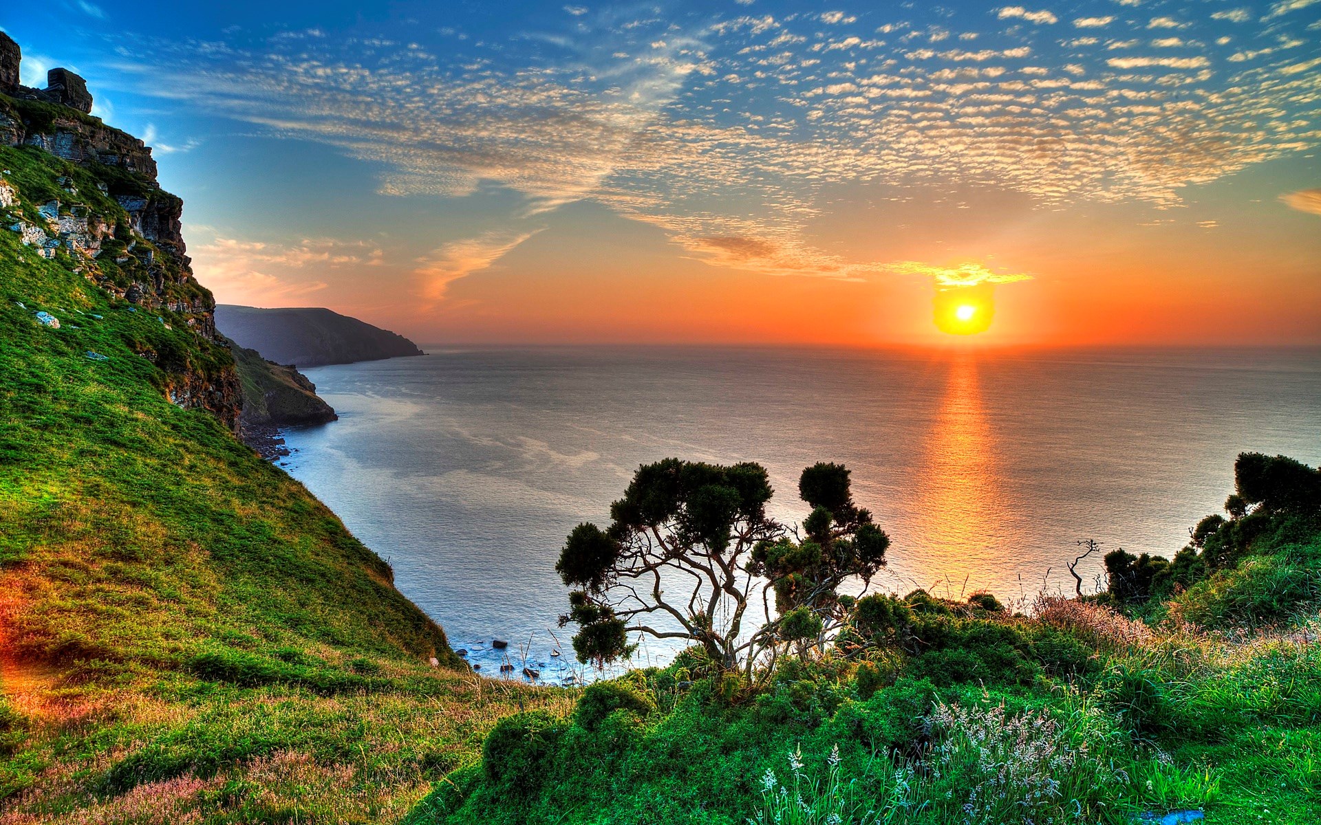 Sunset over the ocean with cliffs and trees HD Wallpaper
