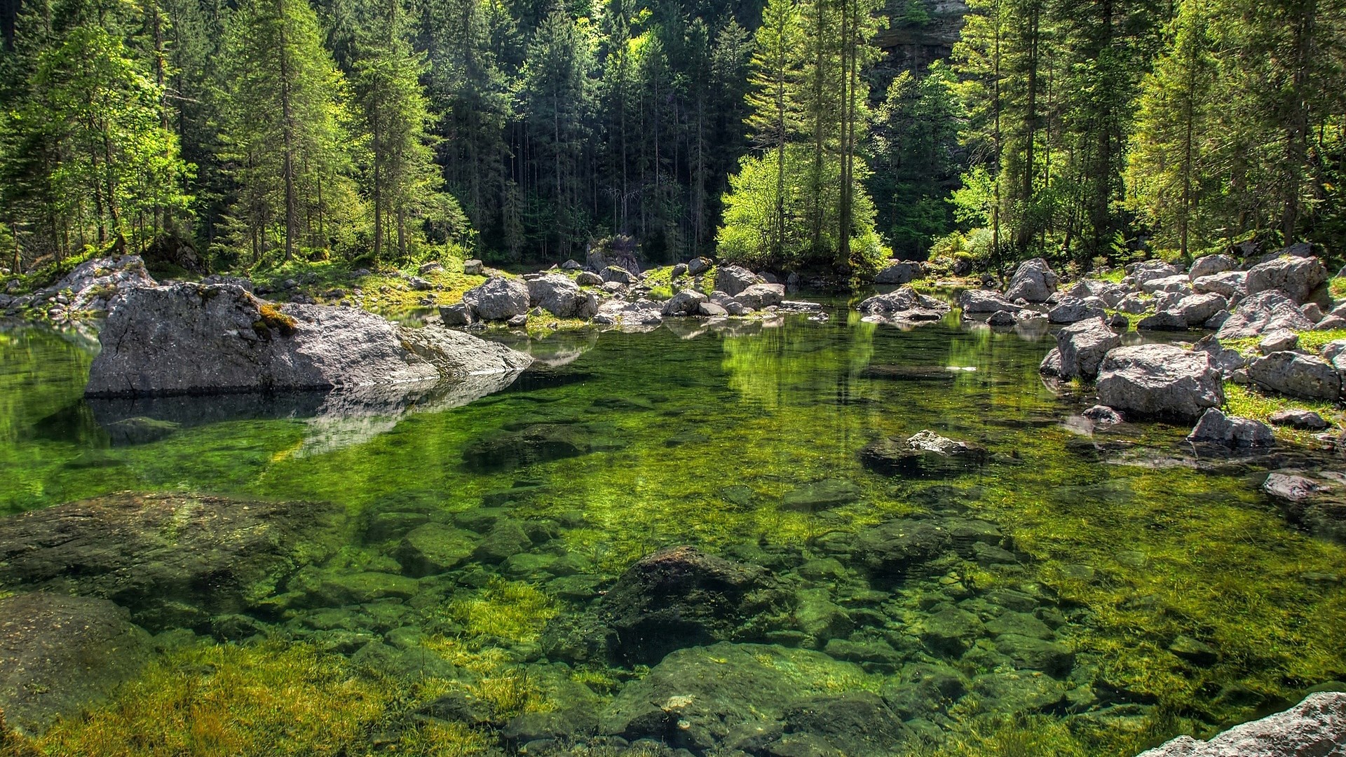 Clear green lake with rocks and forest HD Wallpaper