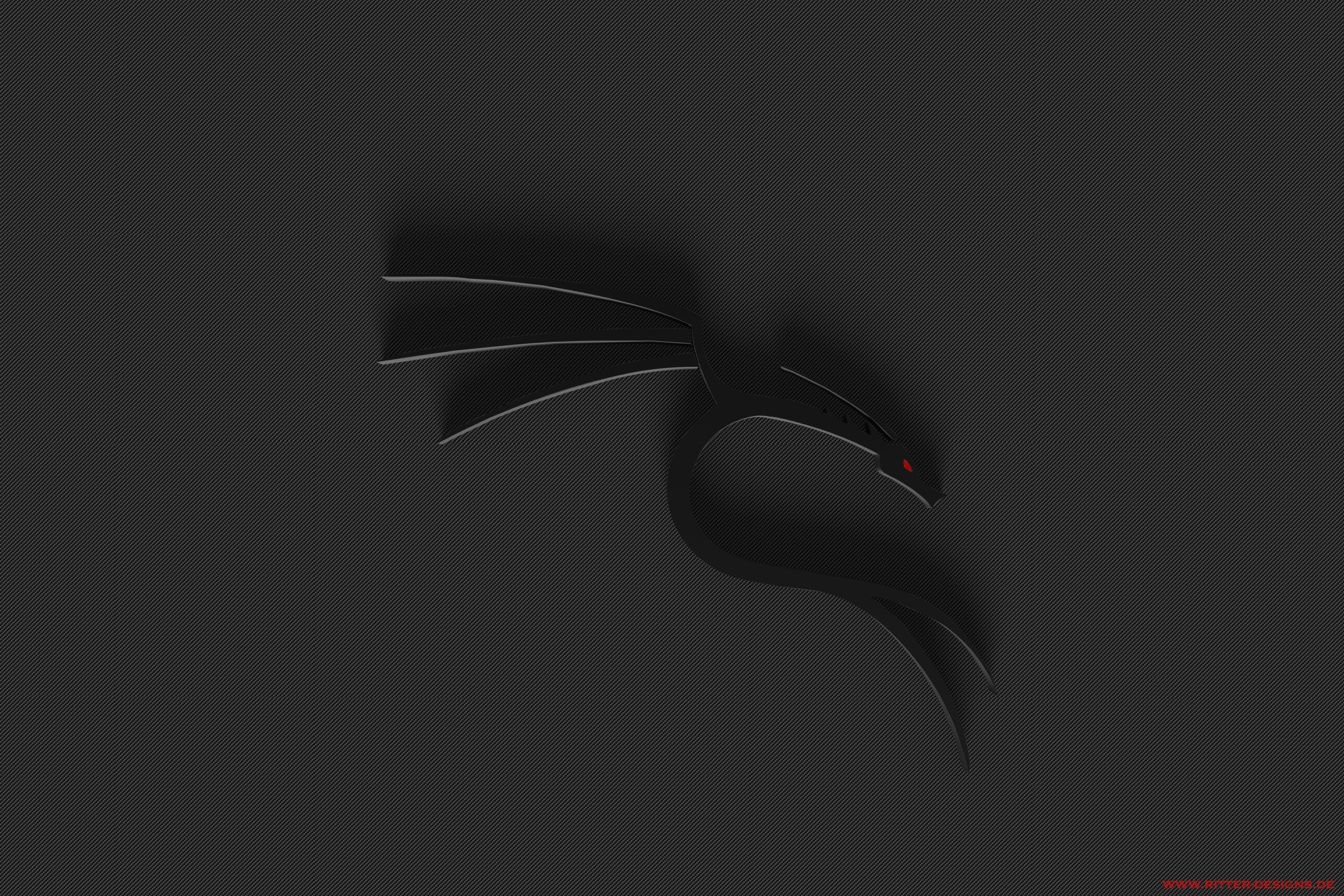 Kali Linux dragon logo with red eye HD Wallpaper