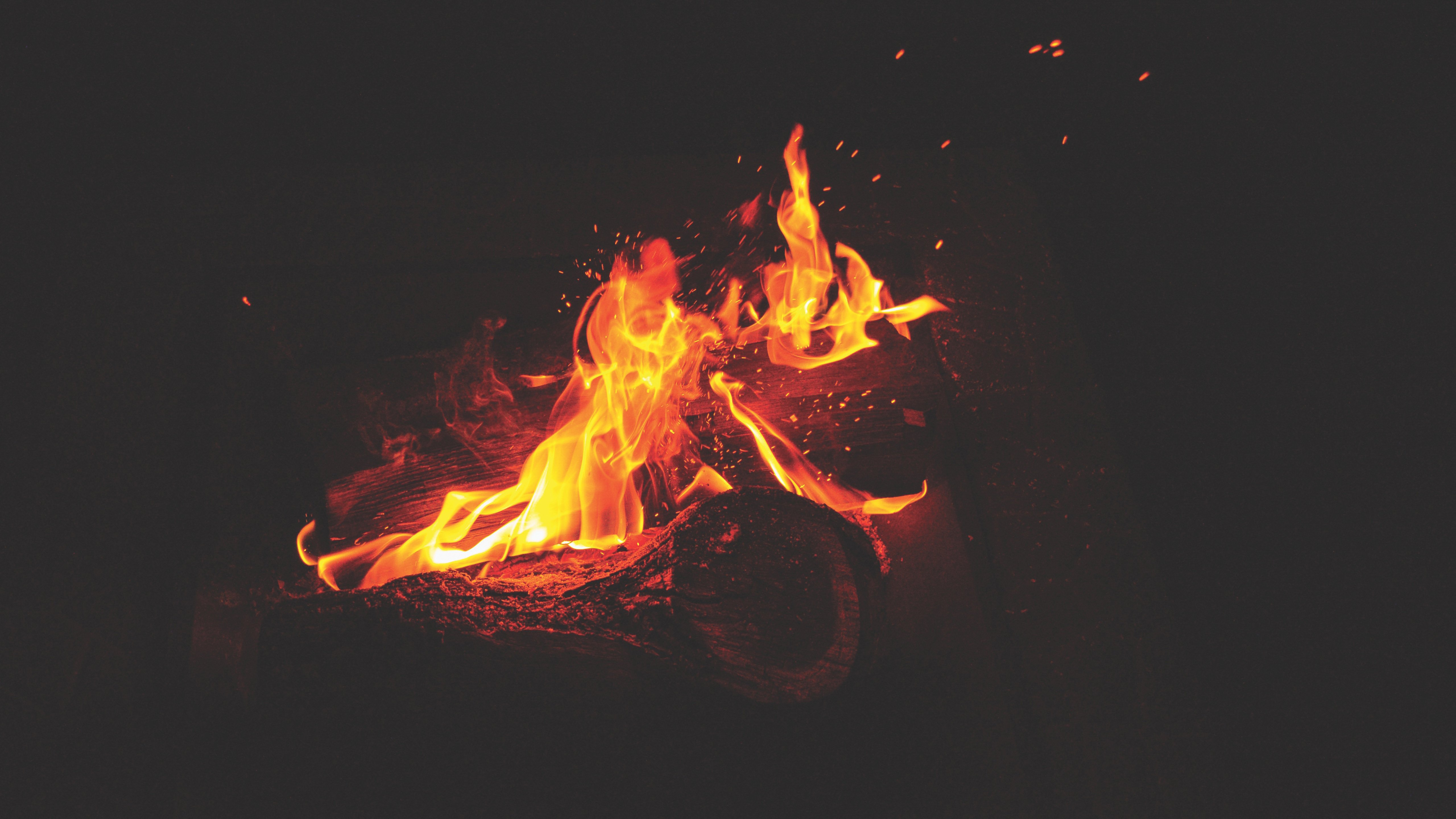 Burning logs in a campfire HD Wallpaper
