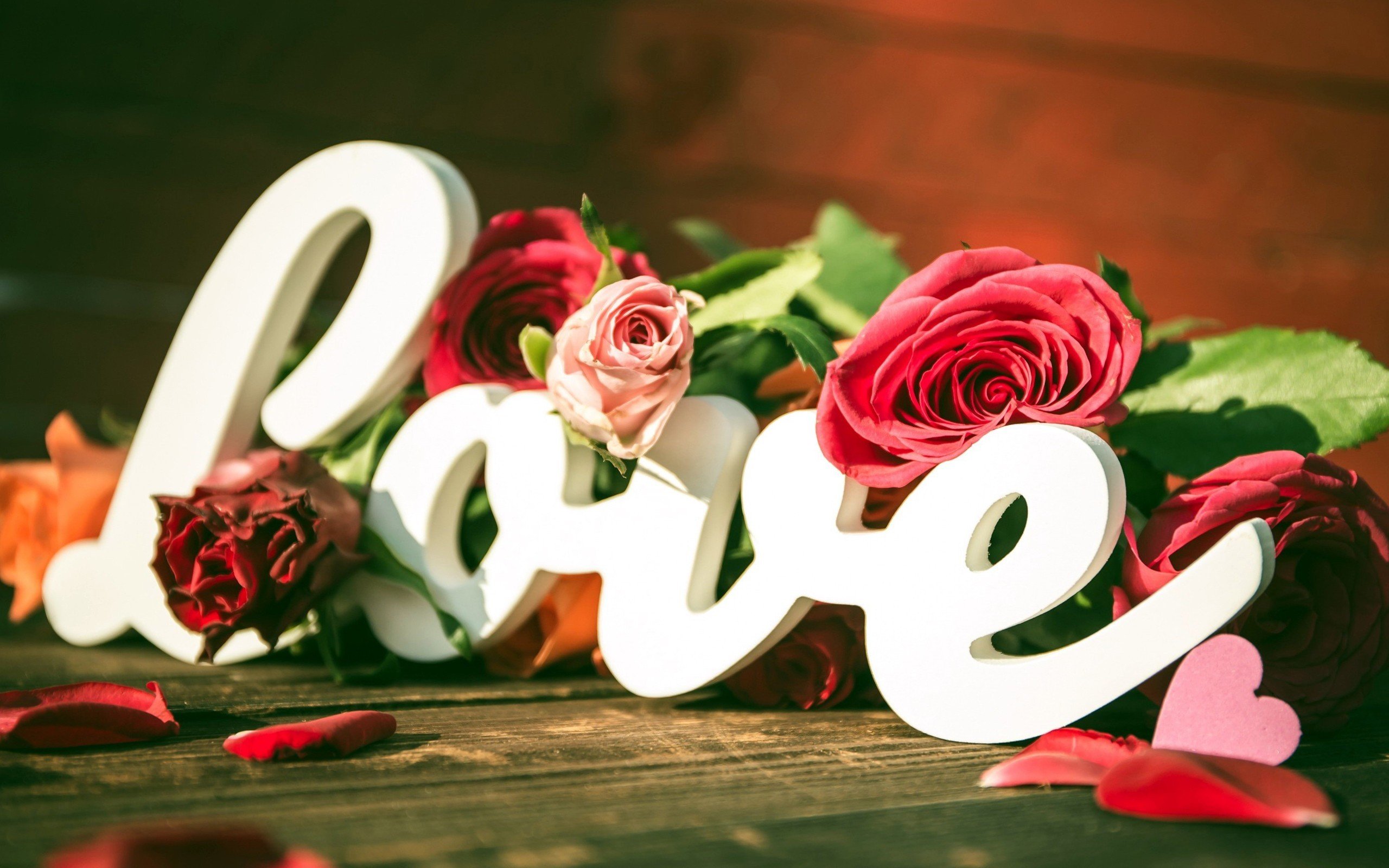 White "Love" text with roses and petals HD Wallpaper