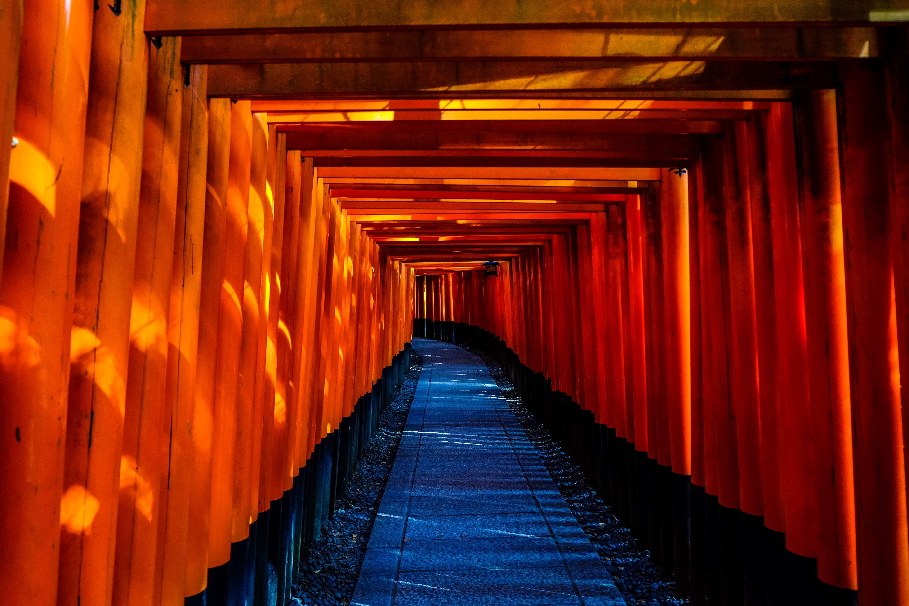 Fushimi Inari Taisha Temple Torii Gates in Japan 4K HD Wallpaper